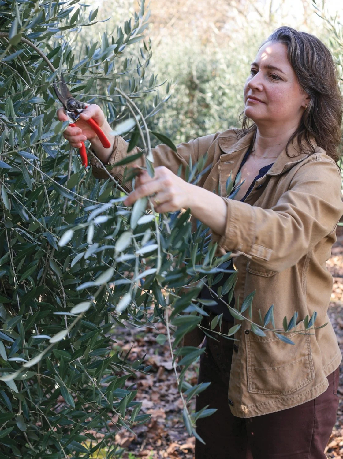 Kala featured in Edible Marin &amp; Wine Country — Sonoma, CA