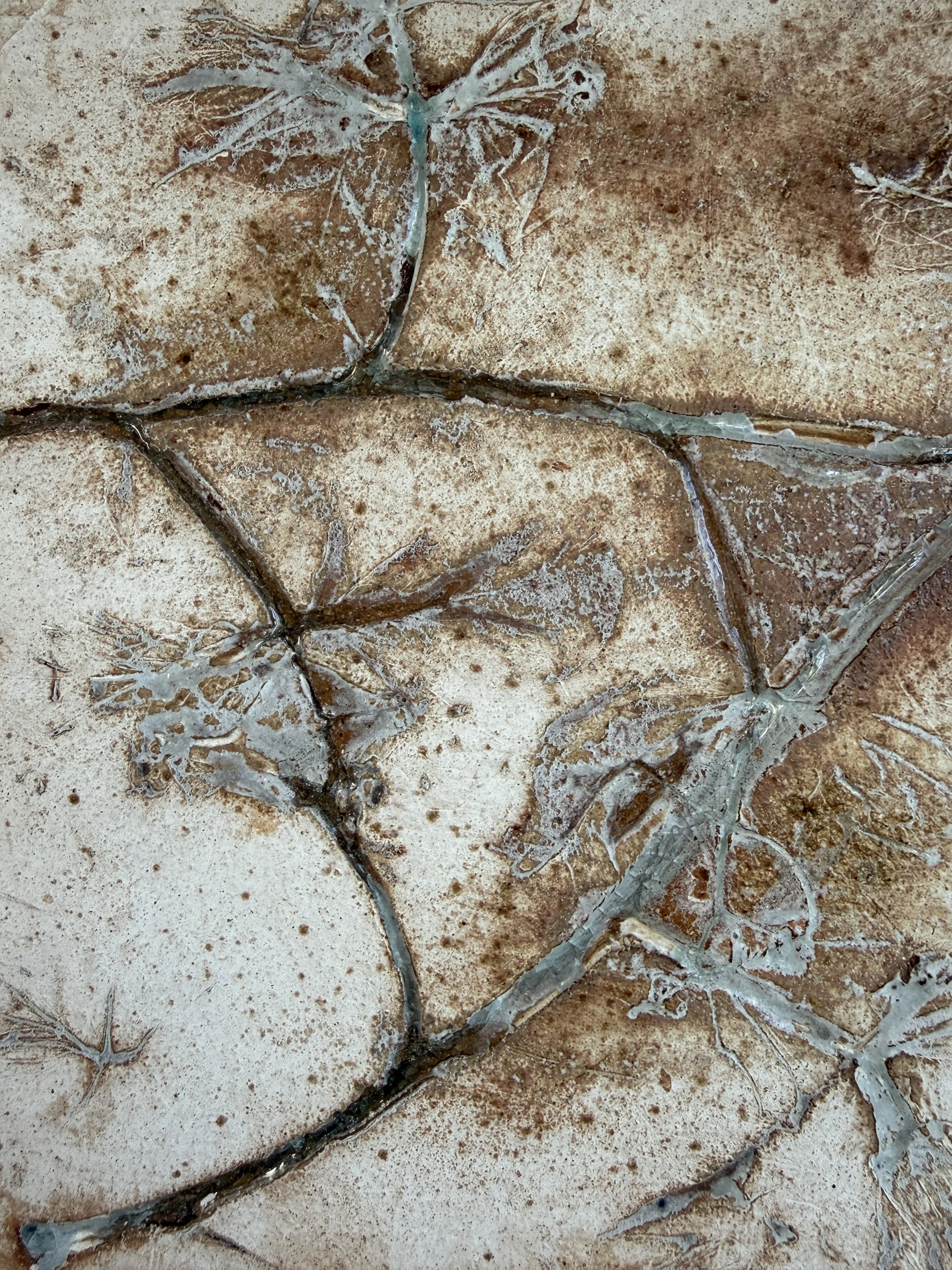 IMG_6867.JPG