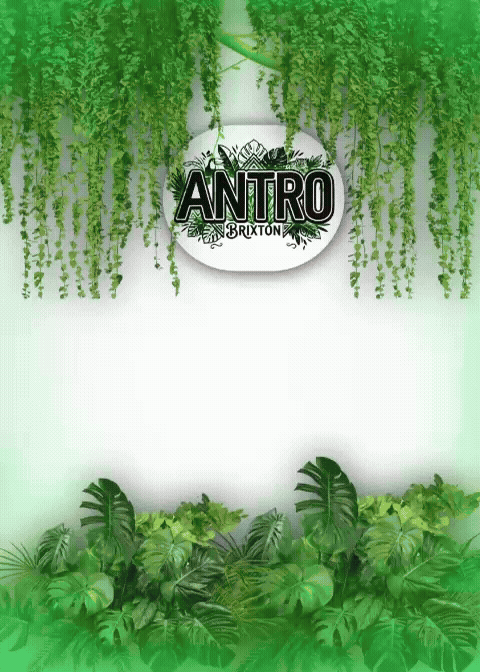Indoor green plants with a sign that says "ANTRO Brixton" surrounded by hanging greenery.