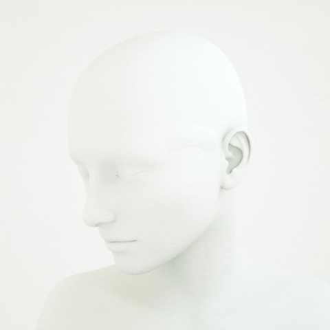 Capital for the Intelligence Age