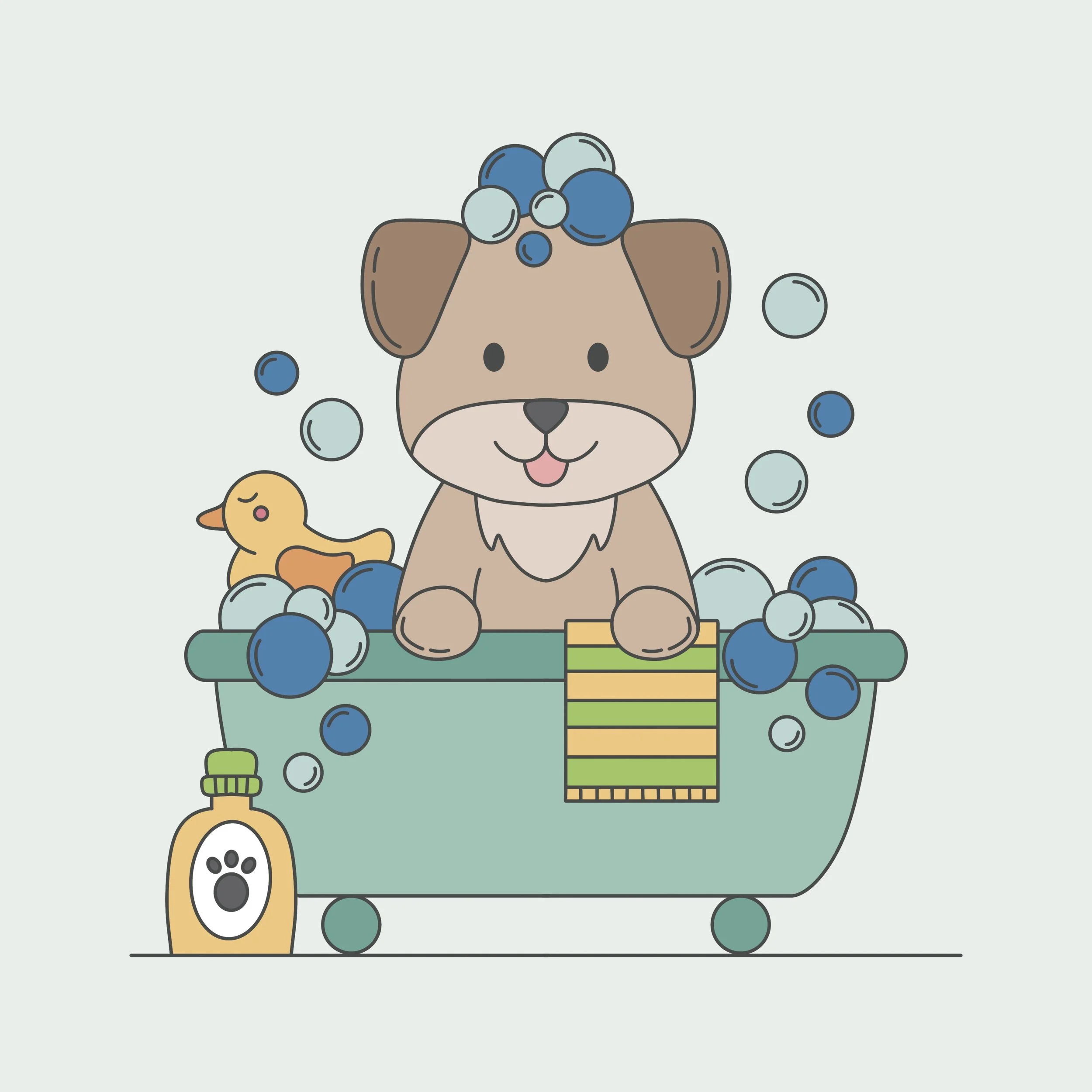 Portfolio of Animal Illustrations