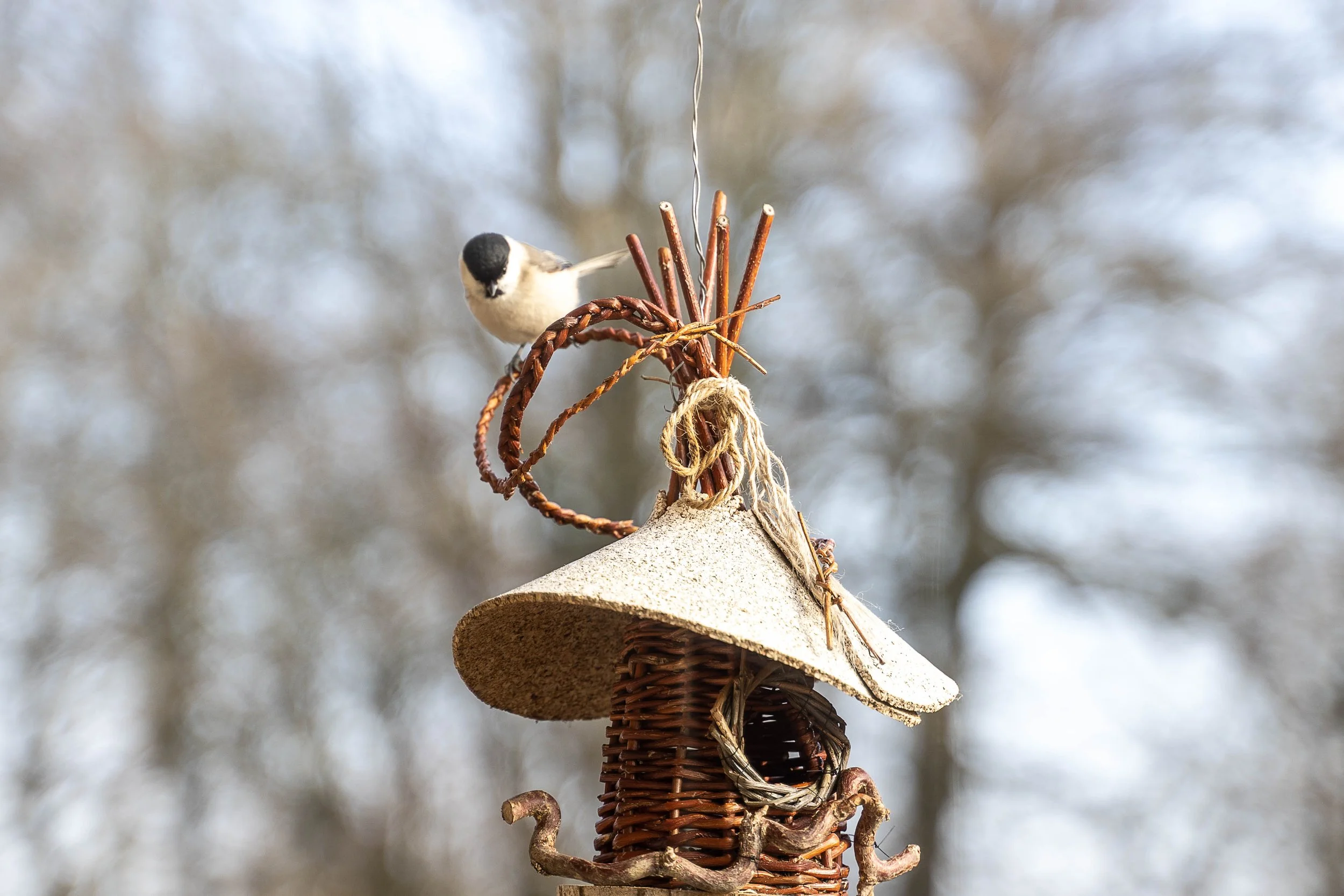 211223 Noël et Vannerie Corroy-9.jpg