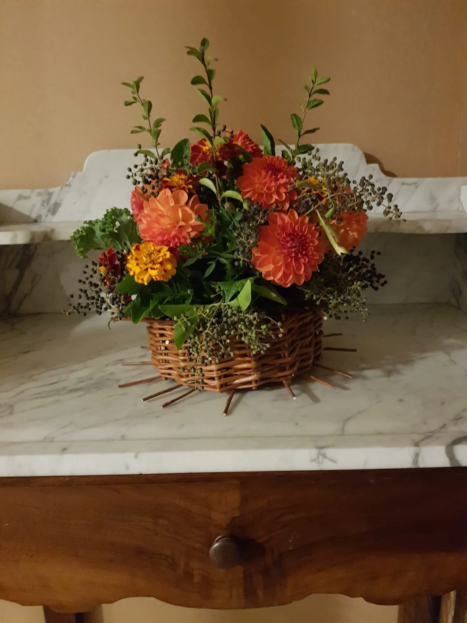 cercle plantes.jpeg