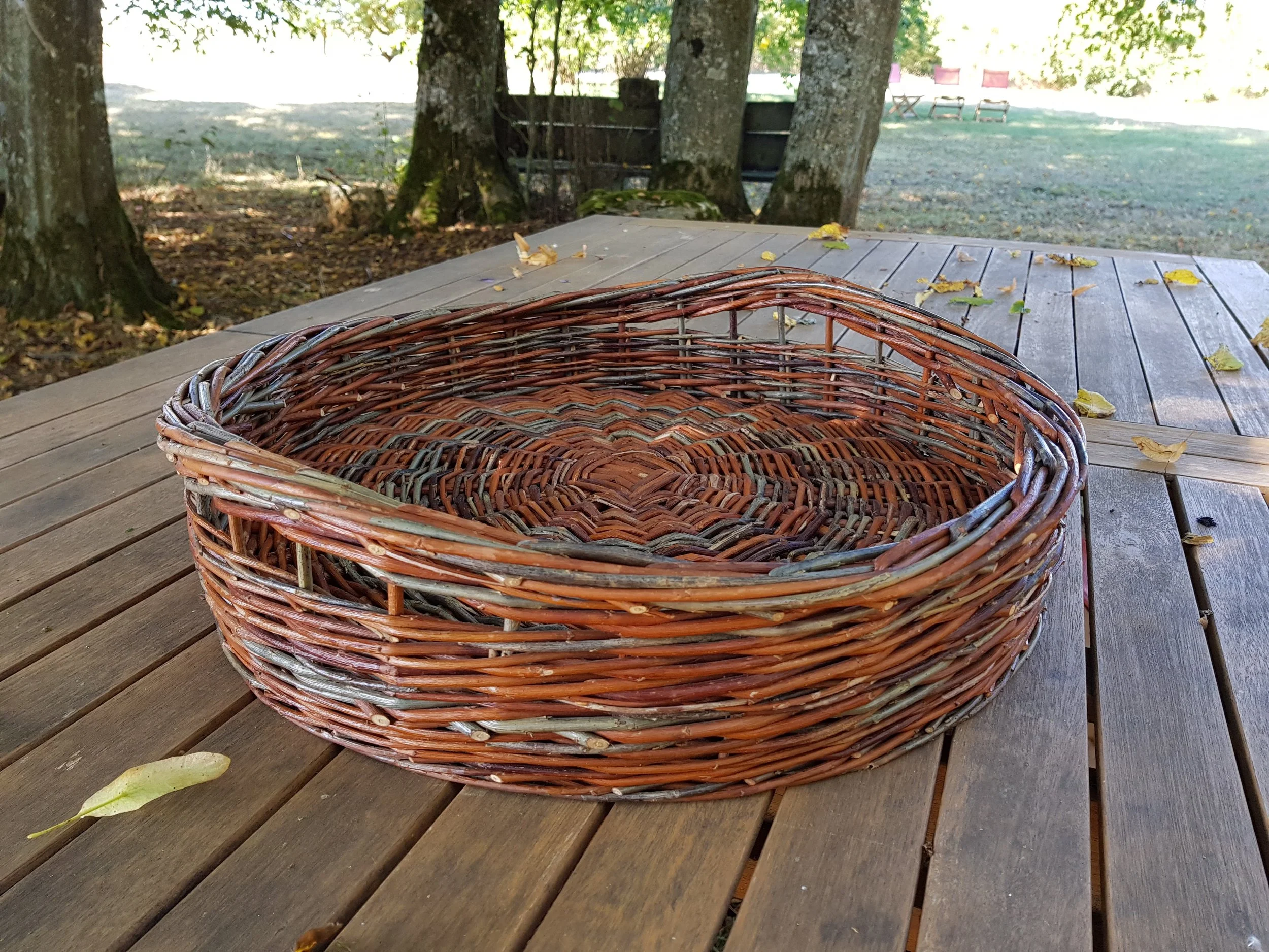 20190919_122317.jpg