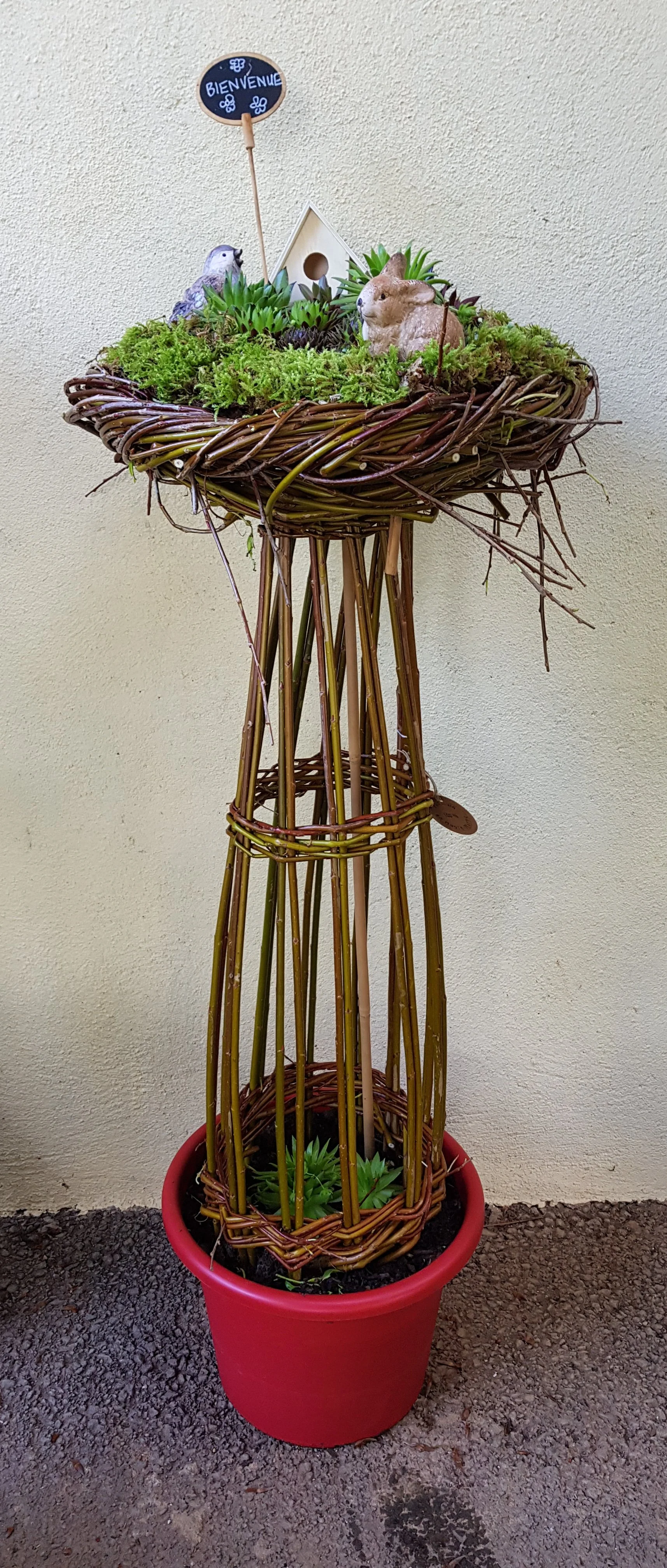 20230516_191557.jpg