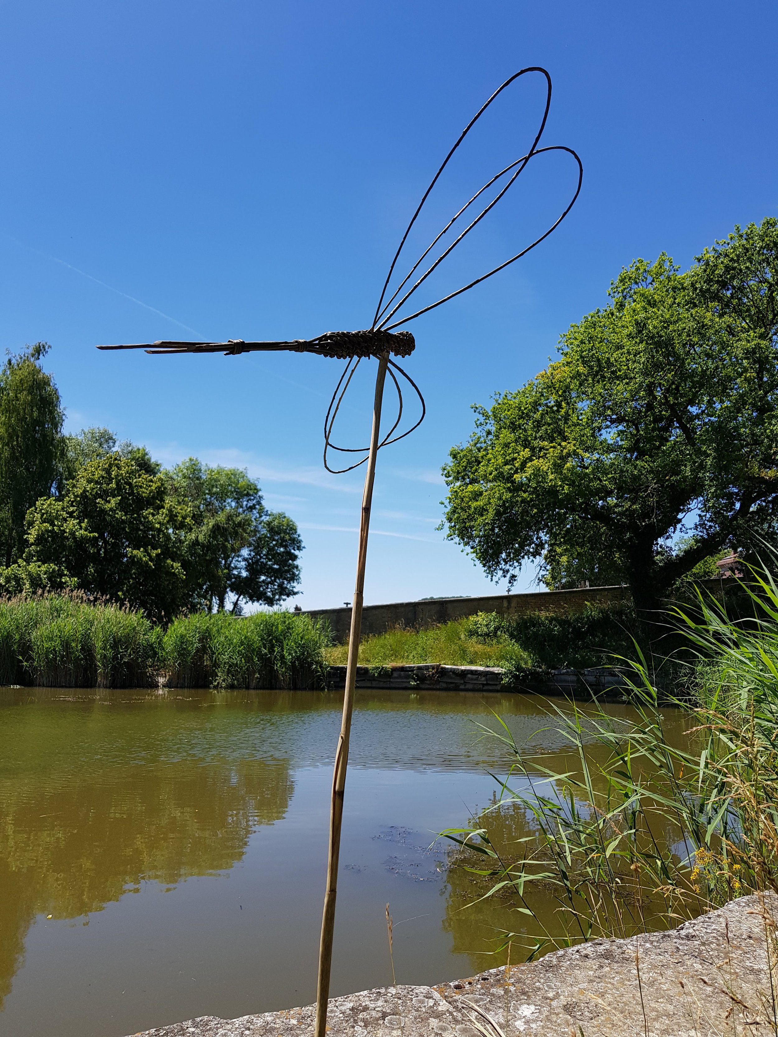20190705_135137.jpg