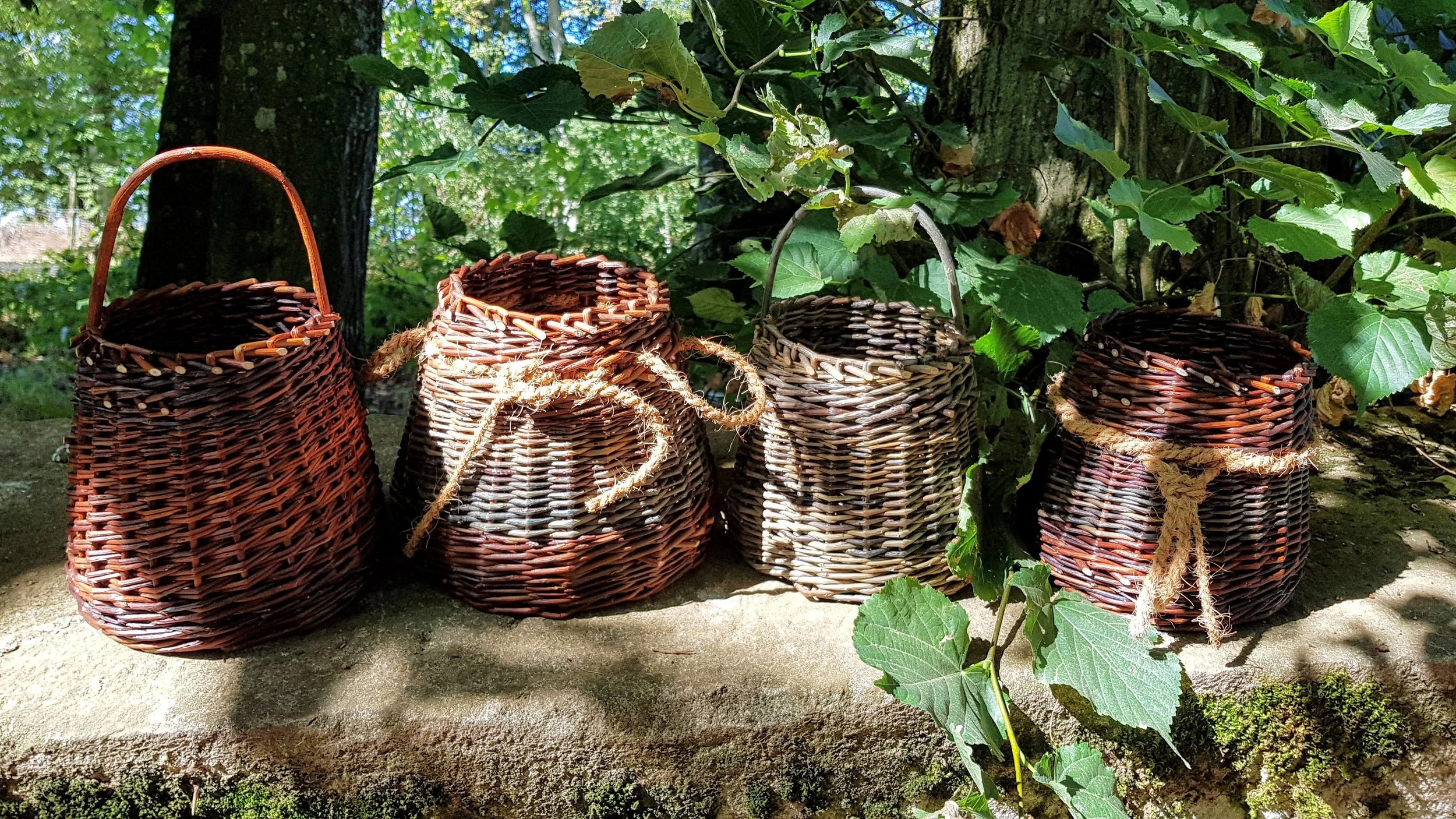 20190902_113258.jpg