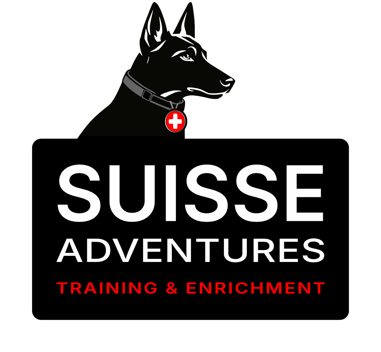 Suisse Adventures