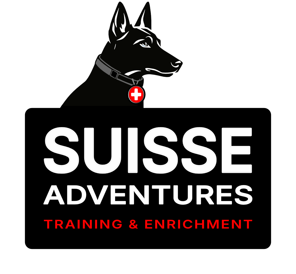 Suisse Adventures