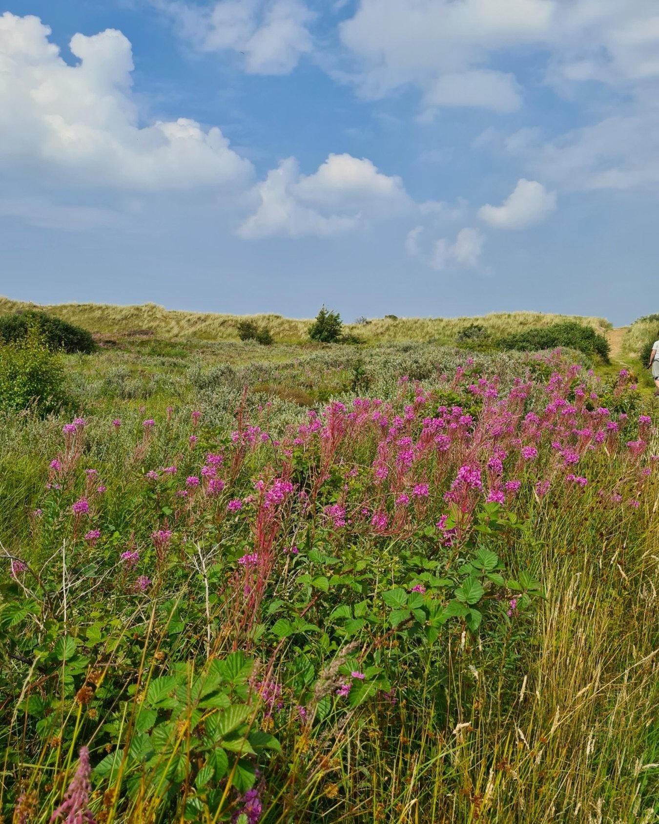 Het zonnige voorjaars weer is onderweg! 🌞 Heb jij je koffer al gepakt? Reserveer snel je kamer bij Overzee en geniet van 10% korting in het restaurant! 🍴🍷
