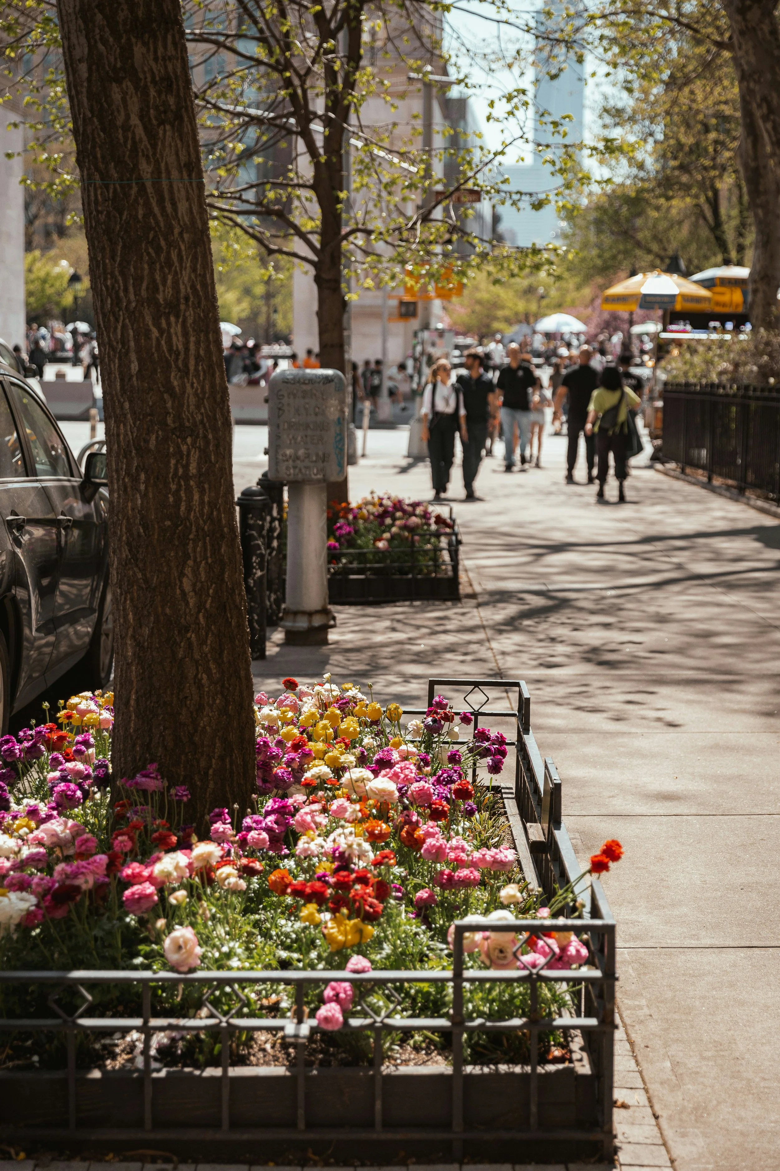 City sidewalk with blooming flowers in a metal planter, trees, and pedestrians walking in the background on a sunny day.