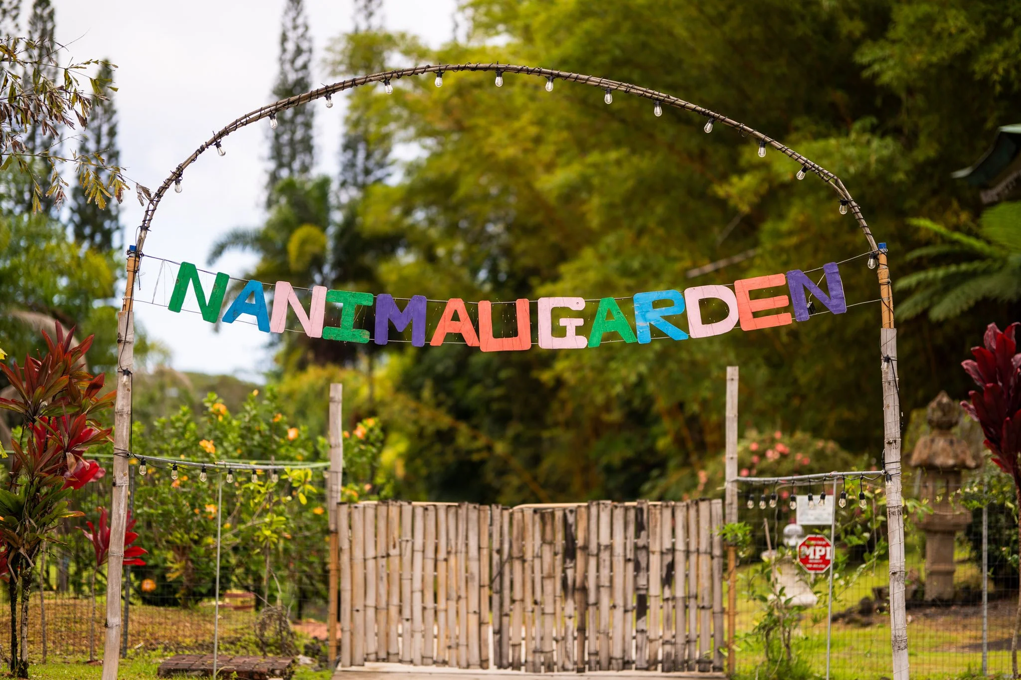 Hawaii-Wedding-Nanimau Garden--53.jpg