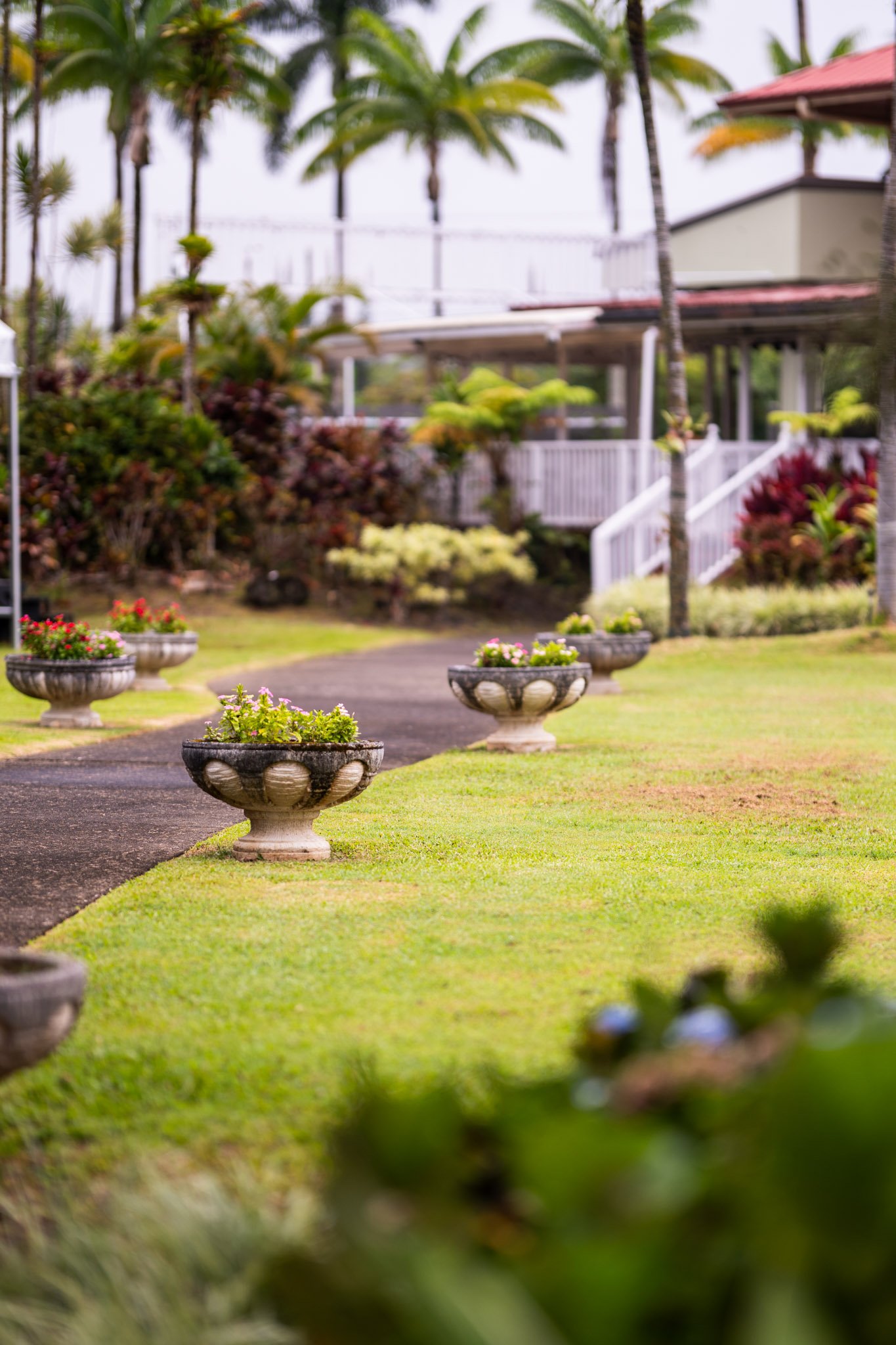 Hawaii-Wedding-Nanimau Garden--51.jpg