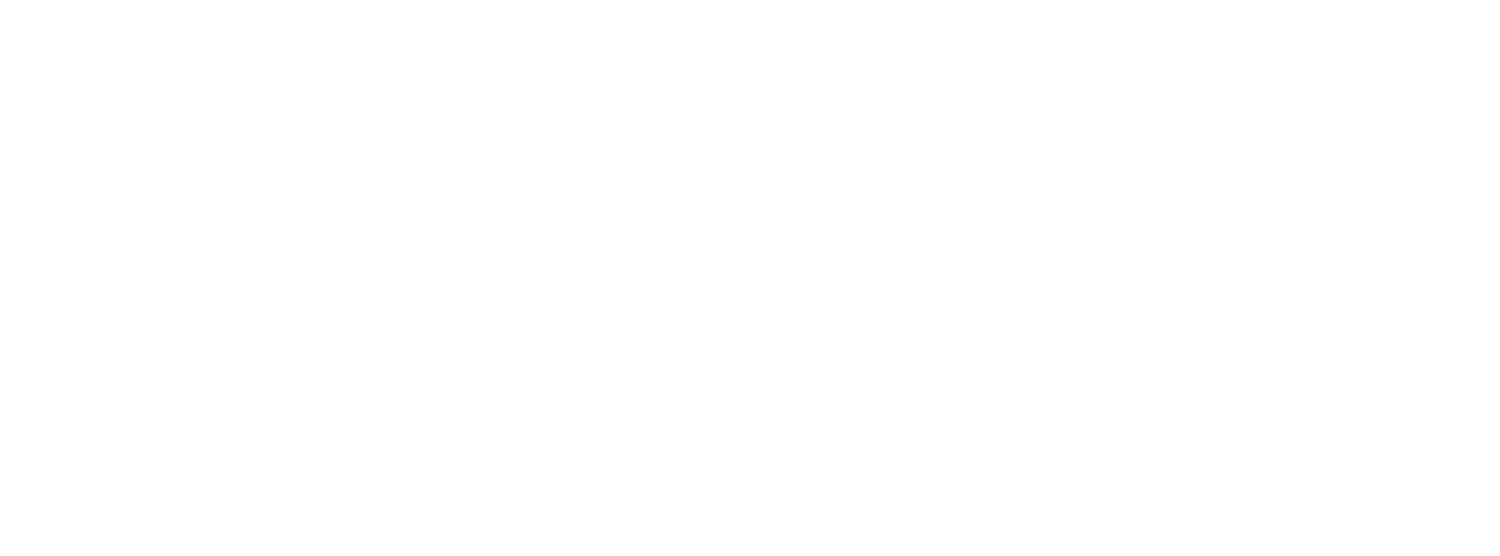 Carpe Diem Design Studio