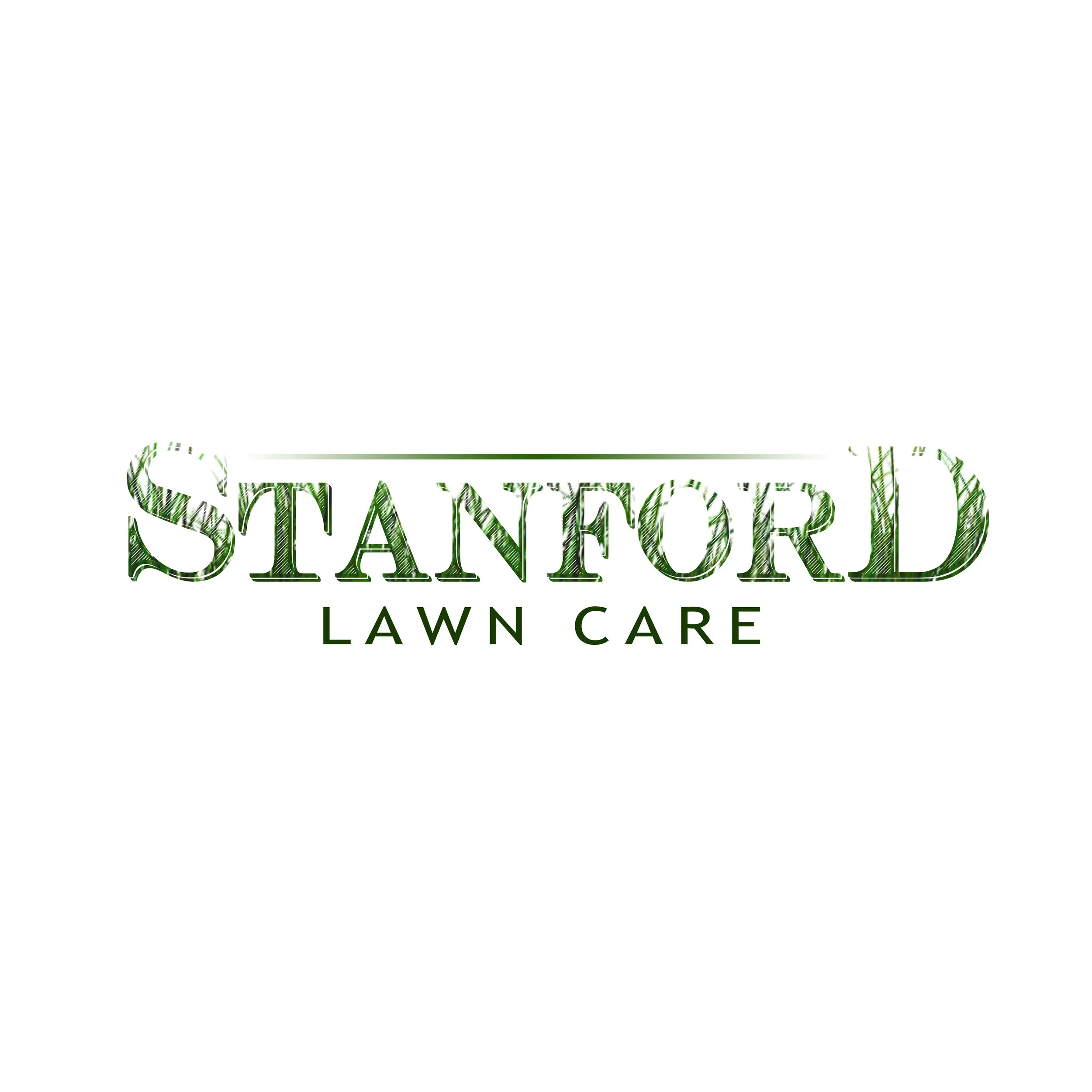 Stanford Logo Design 1.jpg