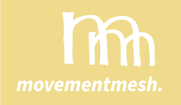 MovementMesh