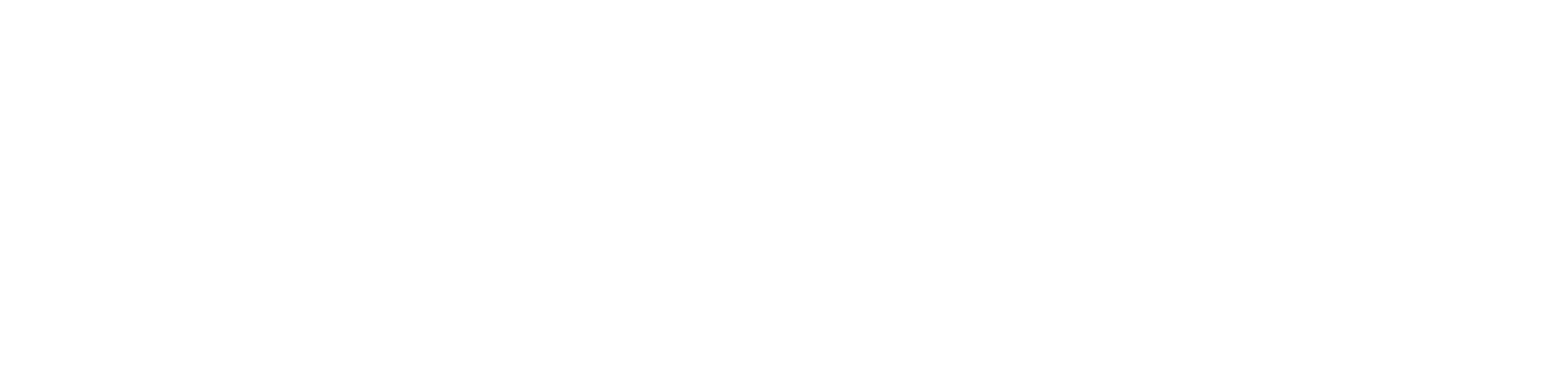 Stylized text spelling 'EVO' in white on a black background logo for EVO St Petersburg