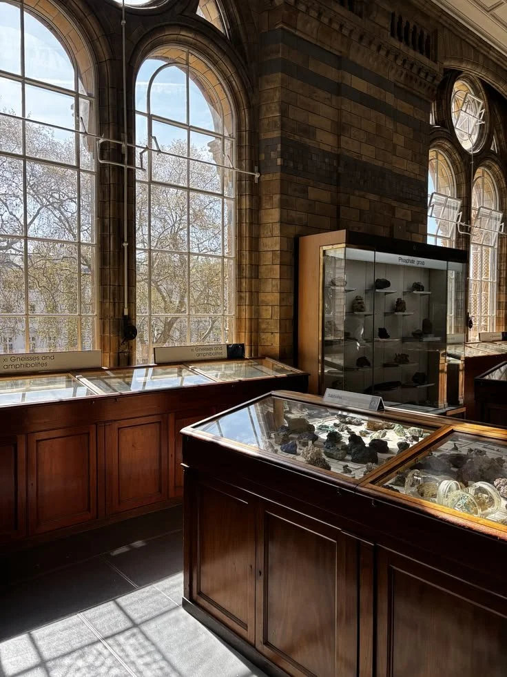 Paleotholongia Museum, Paris.