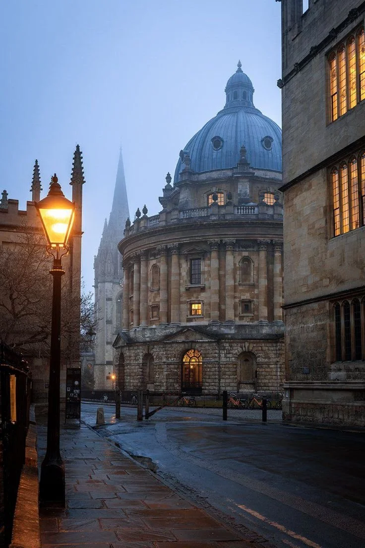 Historical buildings with a large dome, a church or cathedral, lit windows, wet pavement, a streetlamp on a foggy evening.