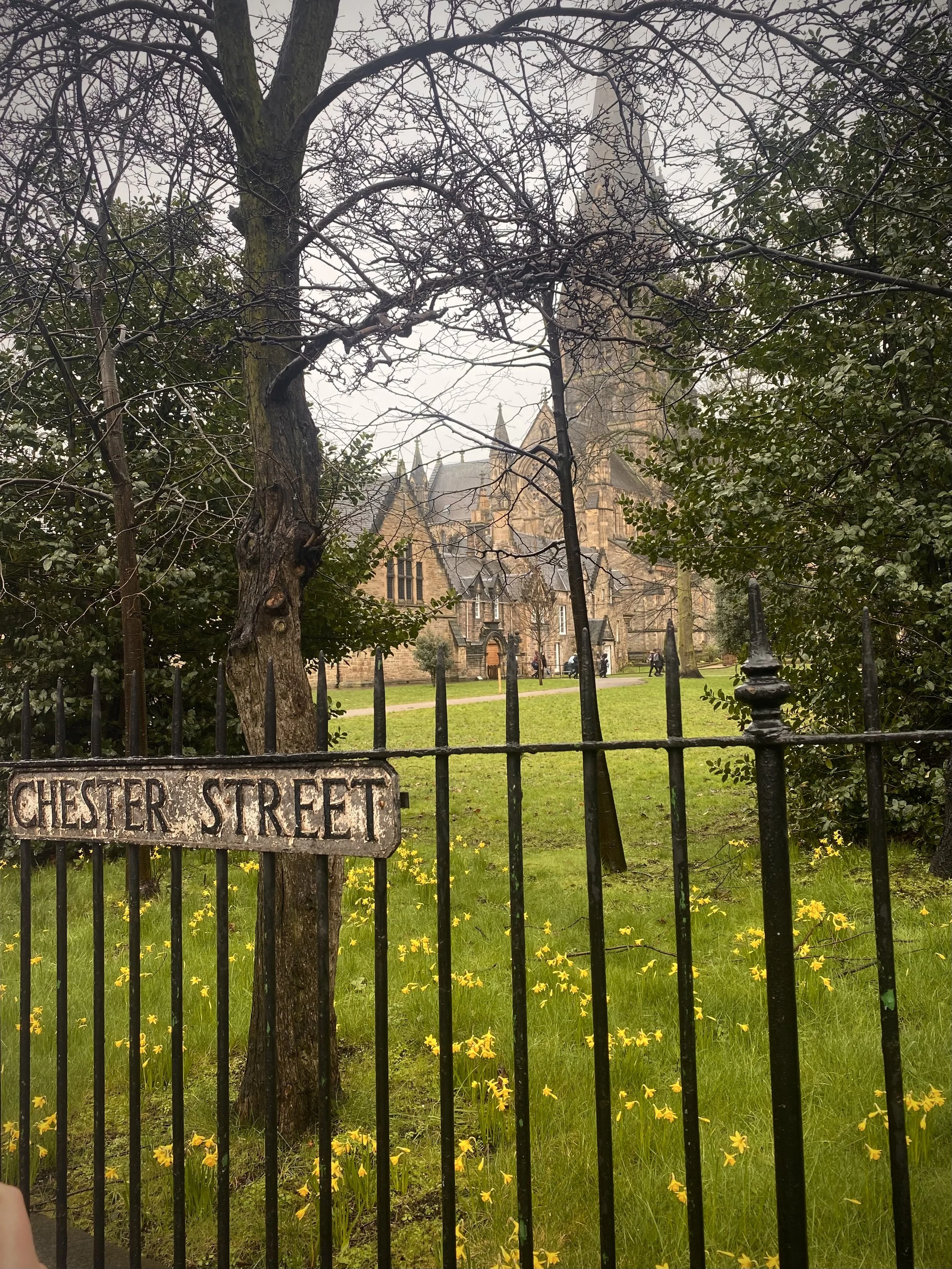 A view of a historic church building framed by a black iron fence and trees with yellow flowers in the foreground, and a sign on the fence reading 'CHESTER STREET'.