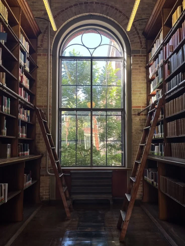View of a library interior with tall bookshelves on both sides, wooden ladders leaning against the shelves, and a large arched window showing trees outside.