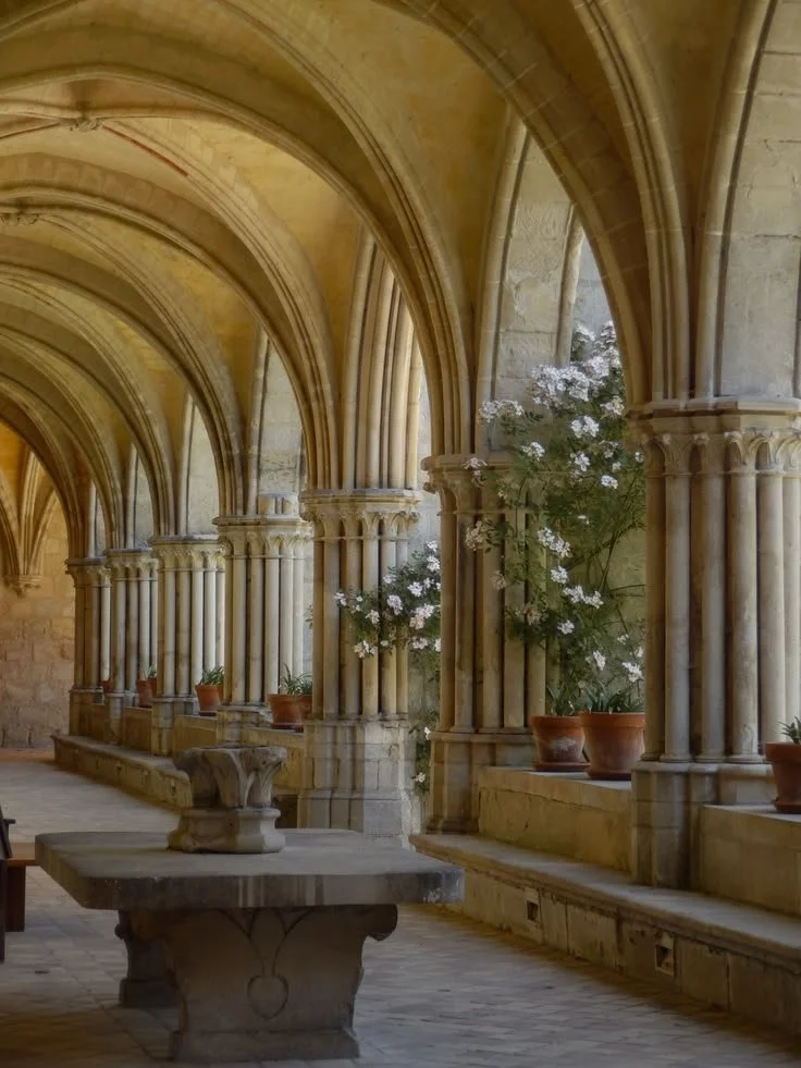 A stone corridor with gothic-style arches supported by columns, lined with potted flowering plants on a ledge.
