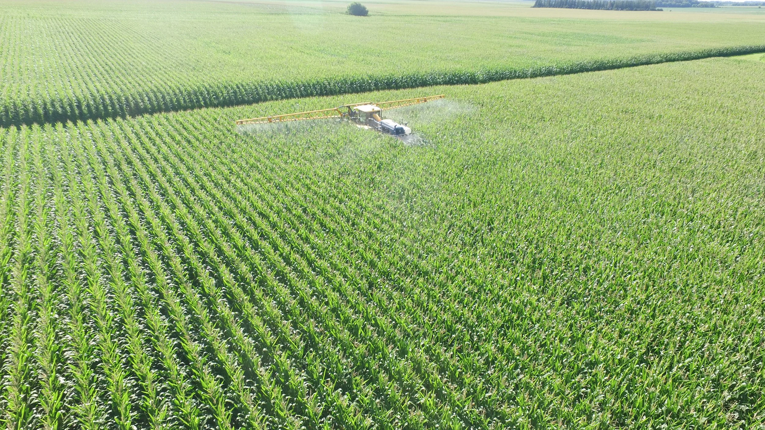 A tractor spraying crops in a large green farmland field.