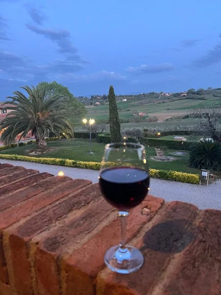 Elegant View of Glass of Wine