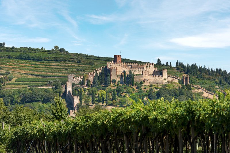 Wide View of Castle in Italy with Vineyard