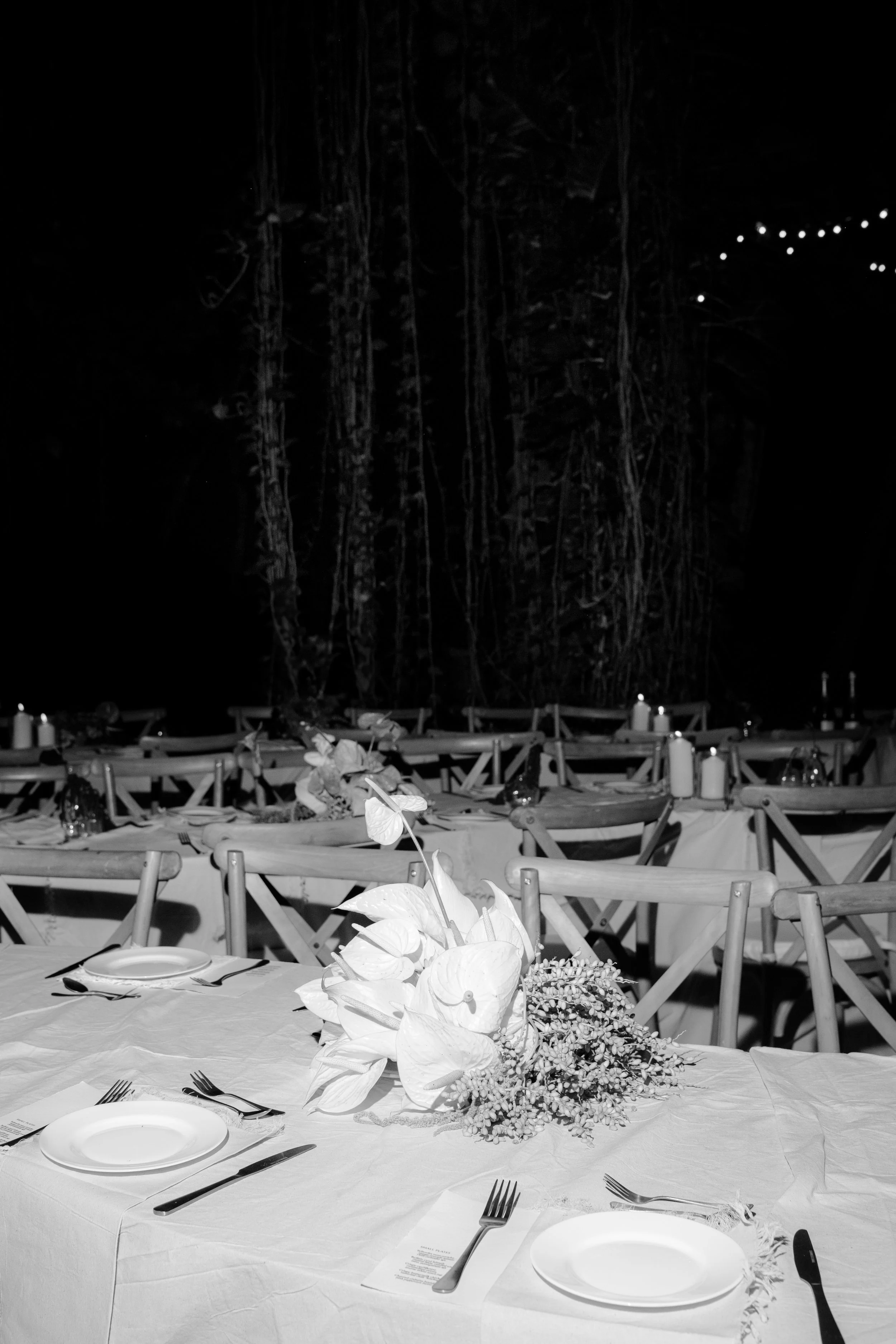 A table set for a meal at an outdoor event with chairs, plates, silverware, and a floral centerpiece, in a dark setting with string lights overhead.
