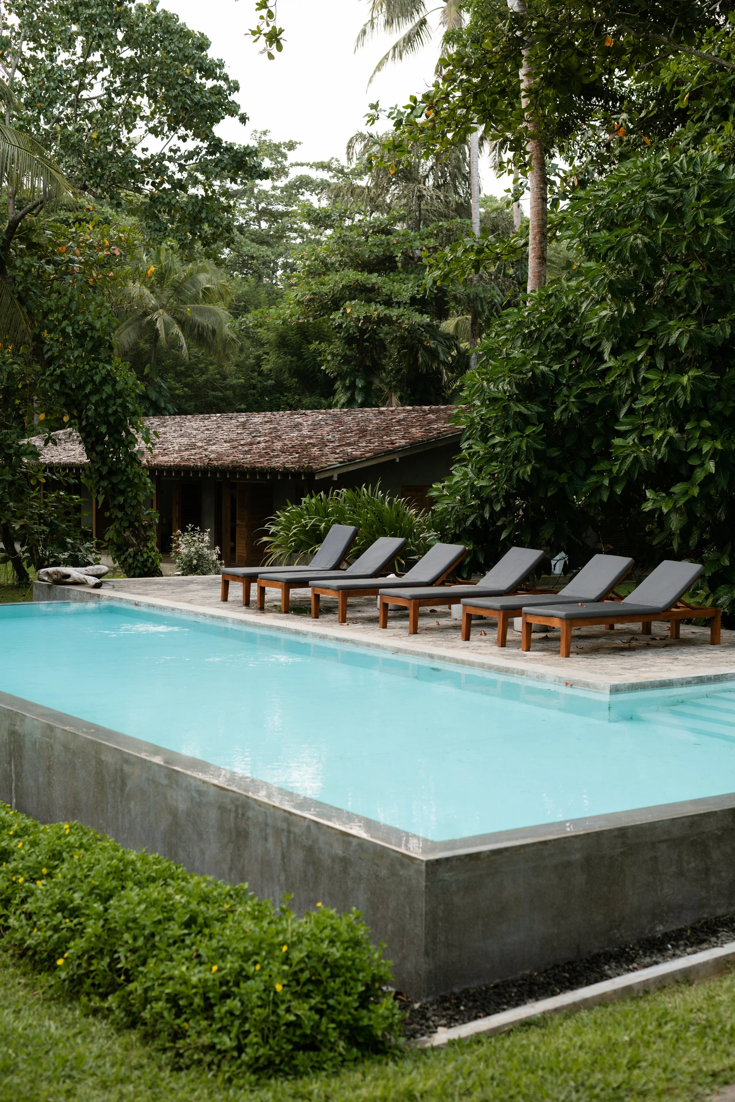 A swimming pool surrounded by lounge chairs in a lush garden with trees and a small building in the background.