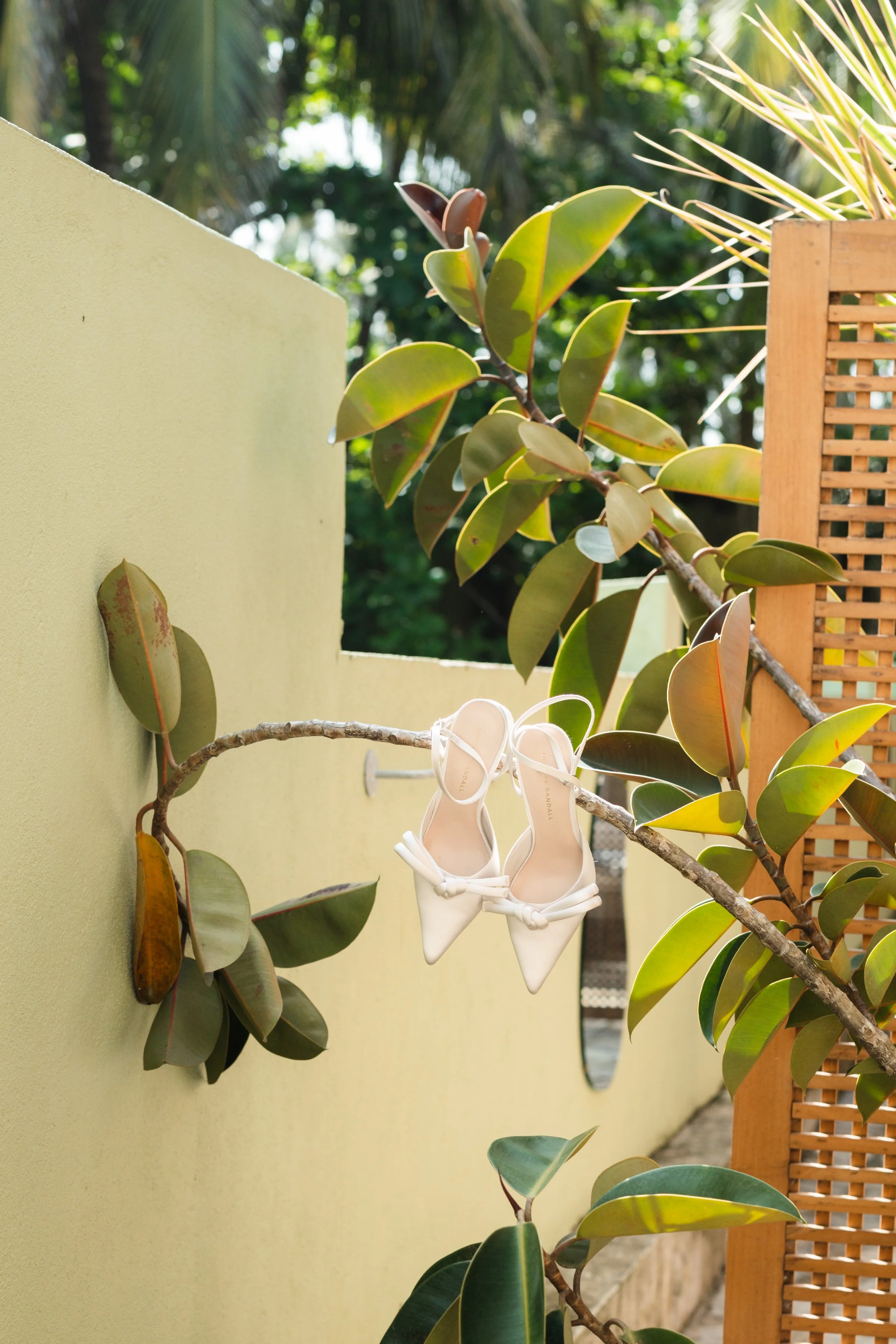 A pair of white high-heeled shoes hanging from a tree branch outdoors, with green leaves and a light-colored wall in the background.