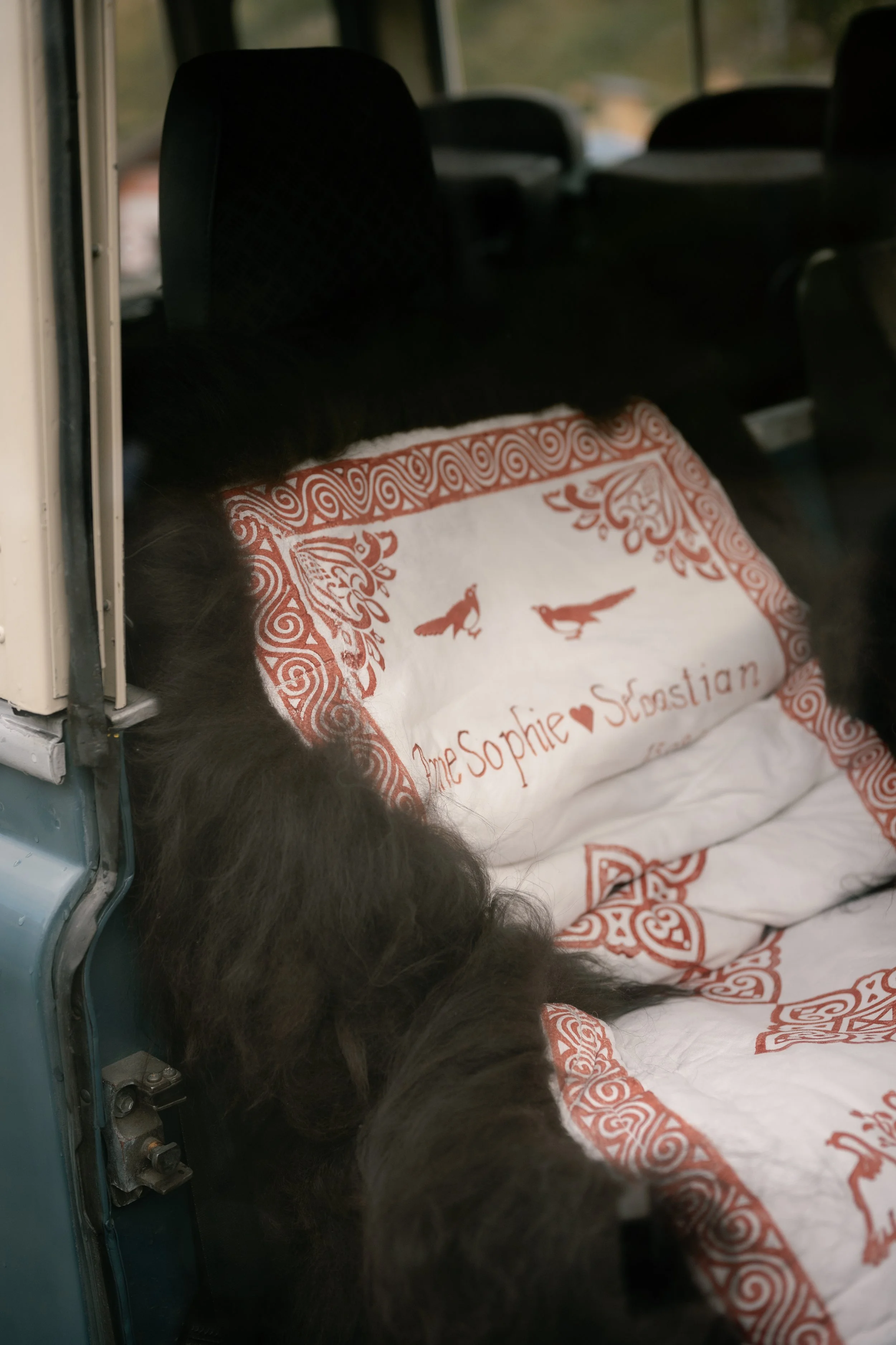 A black dog sleeping on a bed with white and red embroidered bedding inside the back of a vehicle.