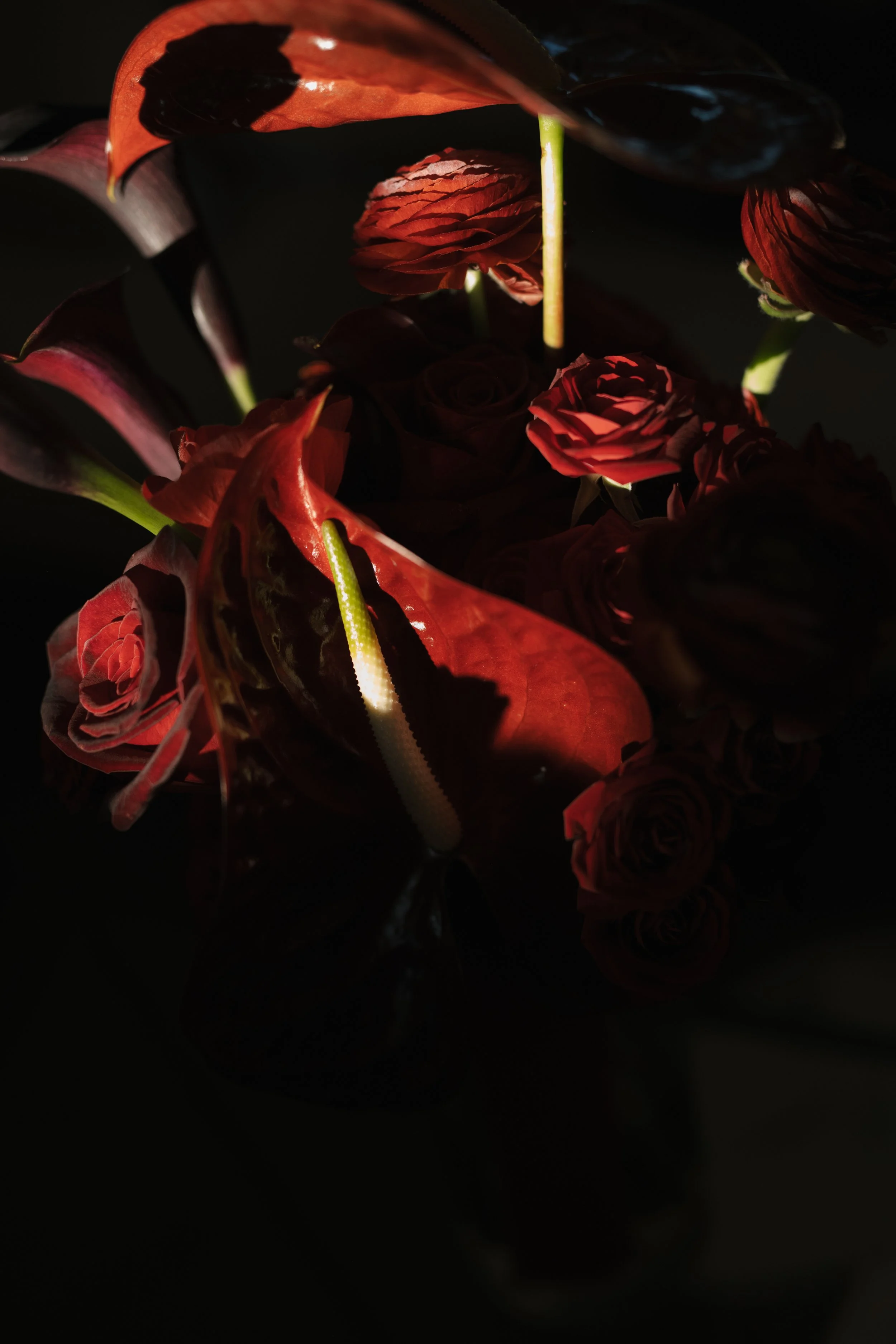 Close-up of a bouquet of red and dark-colored flowers with the light highlighting some stems and petals.