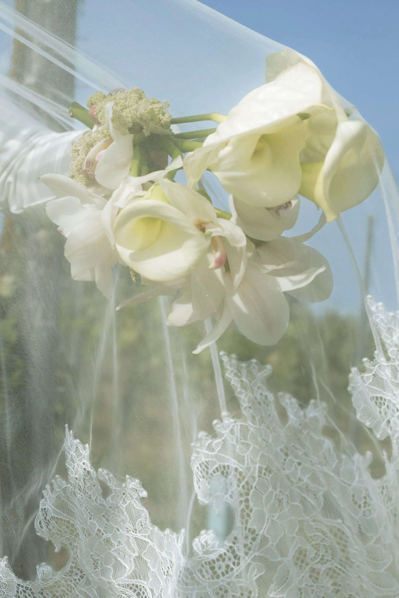 A bouquet of white flowers wrapped in lace and transparent material, with a clear blue sky in the background.