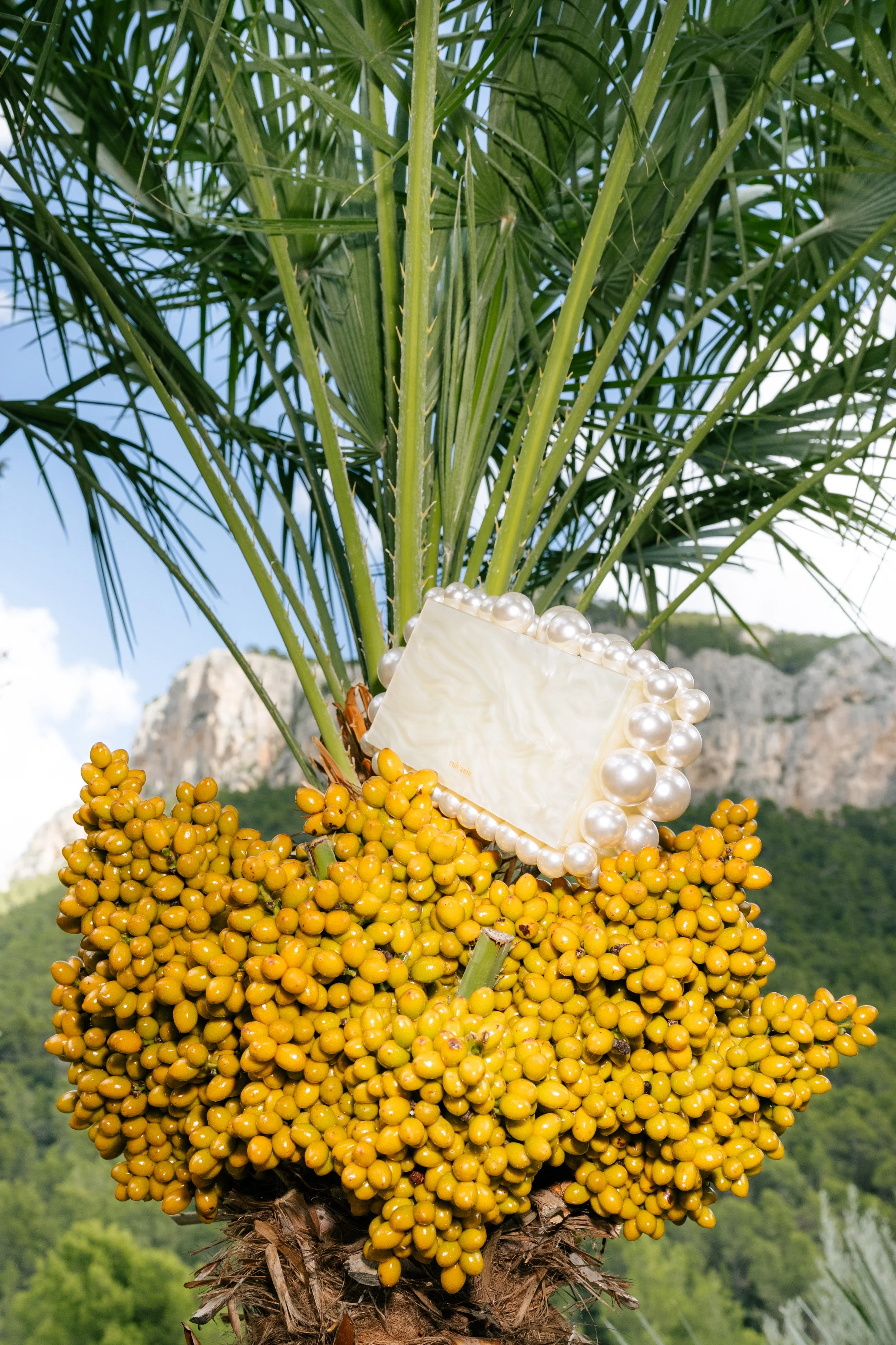 A palm tree with clusters of yellow fruit and a pearl-embellished white clutch bag hanging among the leaves, with a mountain and blue sky in the background.