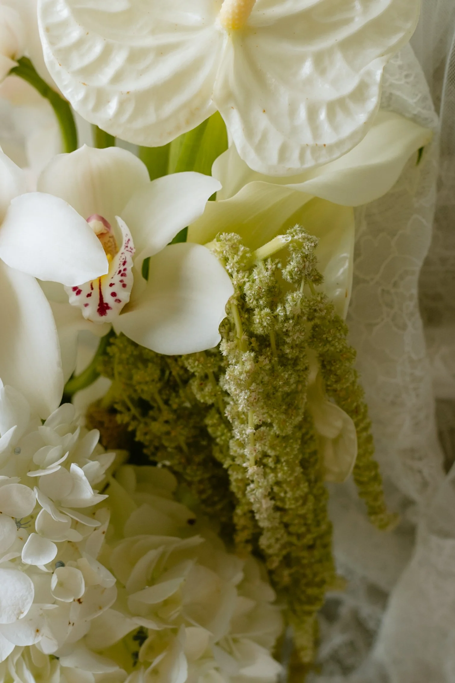 Close-up of white orchids, hydrangeas, and greenery in a floral arrangement.