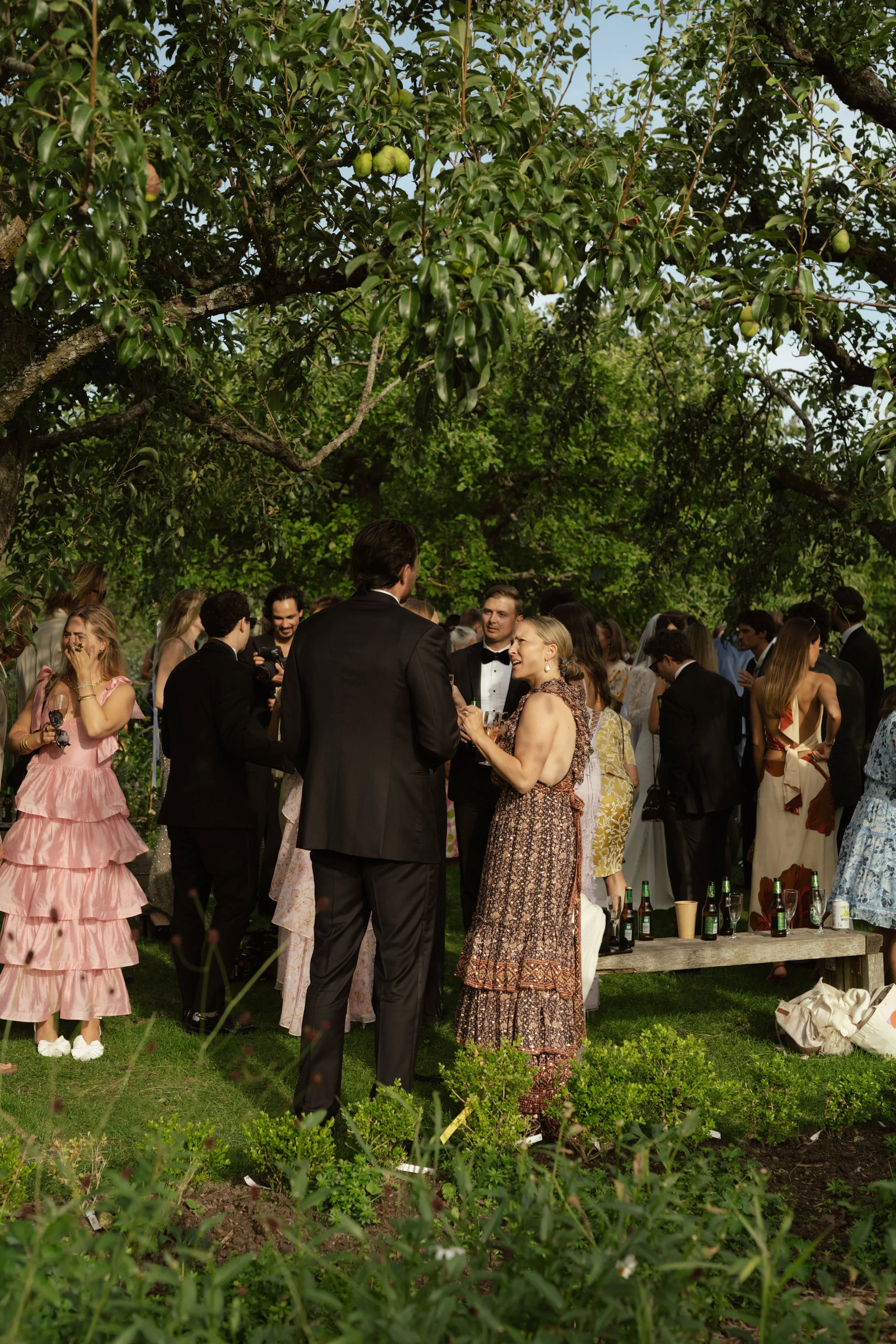 People in formal attire gathering at an outdoor event beneath a tree with green leaves and fruit, with benches and drinks visible.