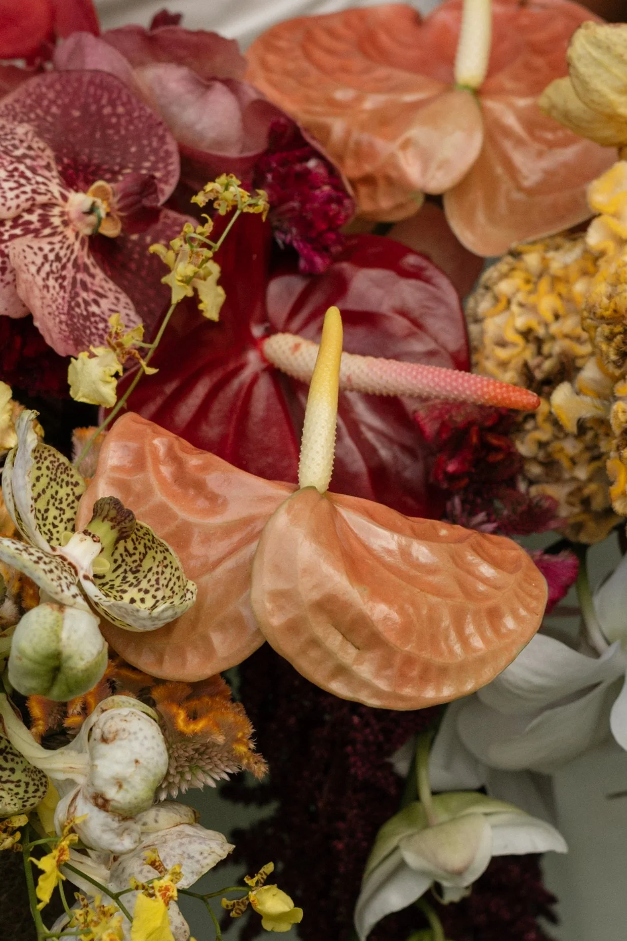 A close-up of various colorful flowers, including anthuriums, orchids, and daisies.