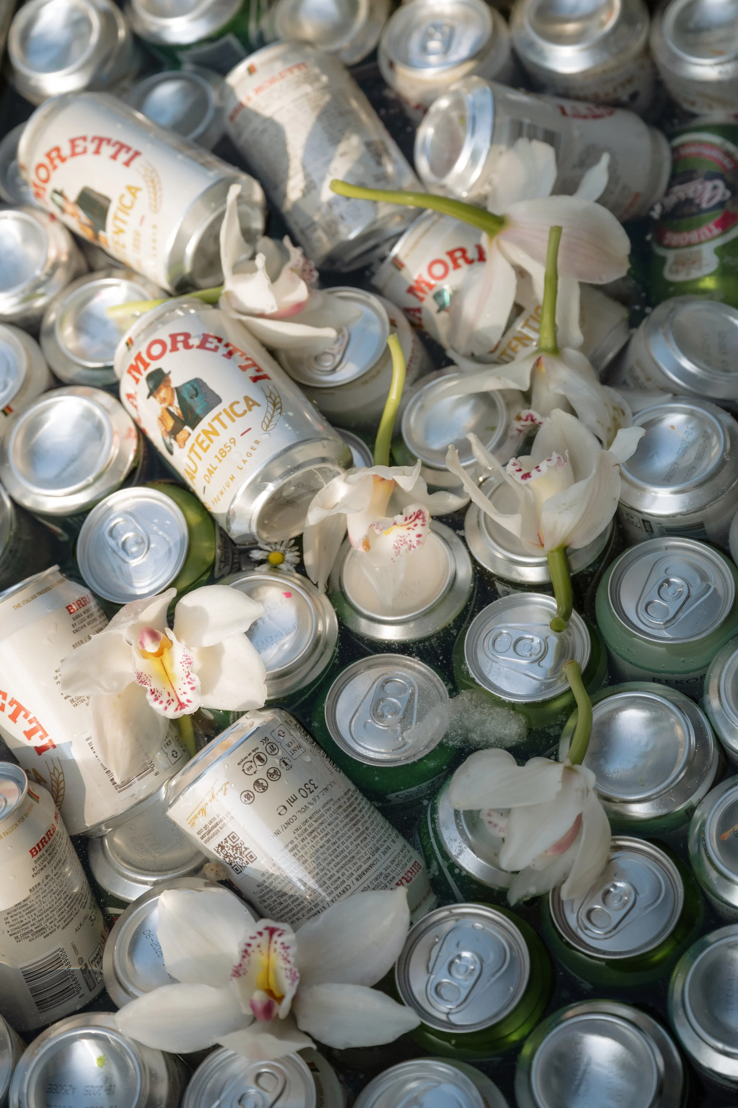 A pile of empty aluminum cans of beer and several white orchid flowers with some pink and yellow details.