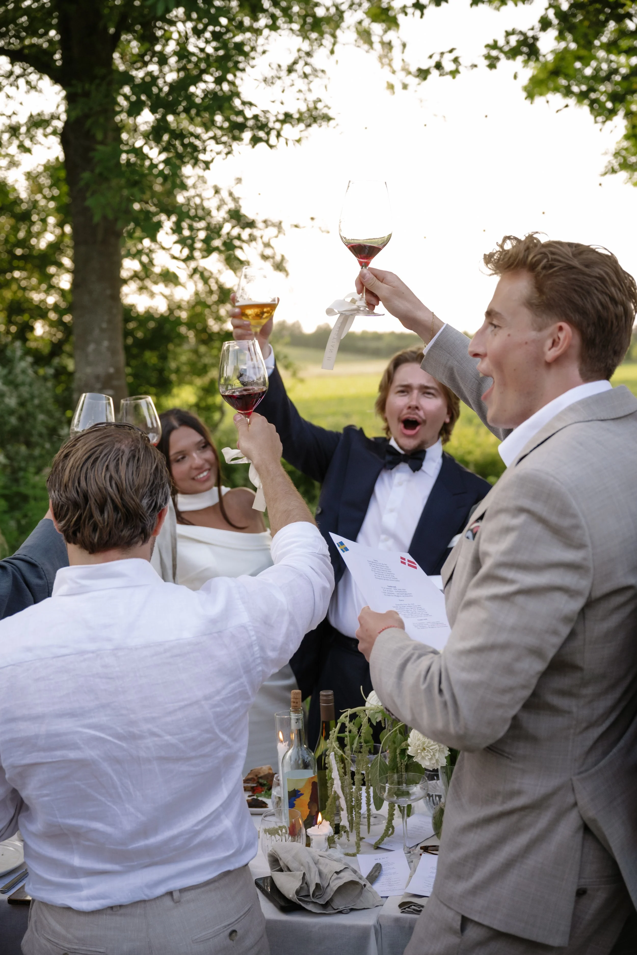 Group of people celebrating outdoors, raising glasses of wine, dressed in formal attire, with a table set for a meal and surrounded by greenery.
