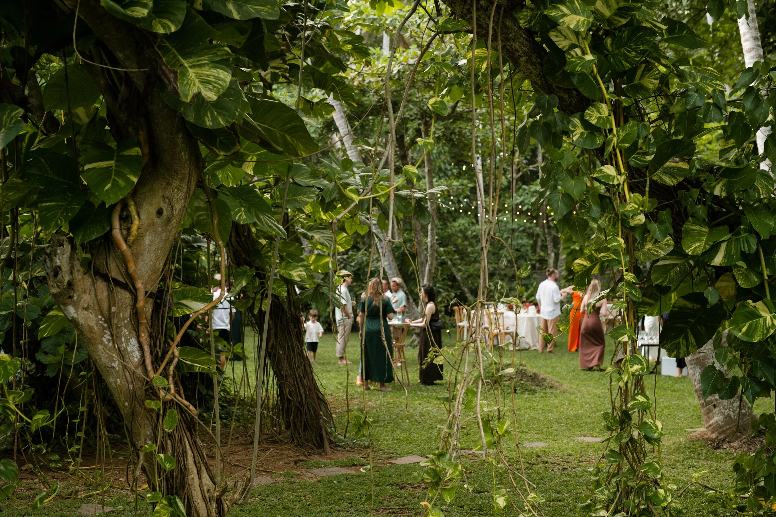 People gathering and socializing outdoors in a lush garden or forest setting with trees and hanging vines, with tables and decorations visible in the background.