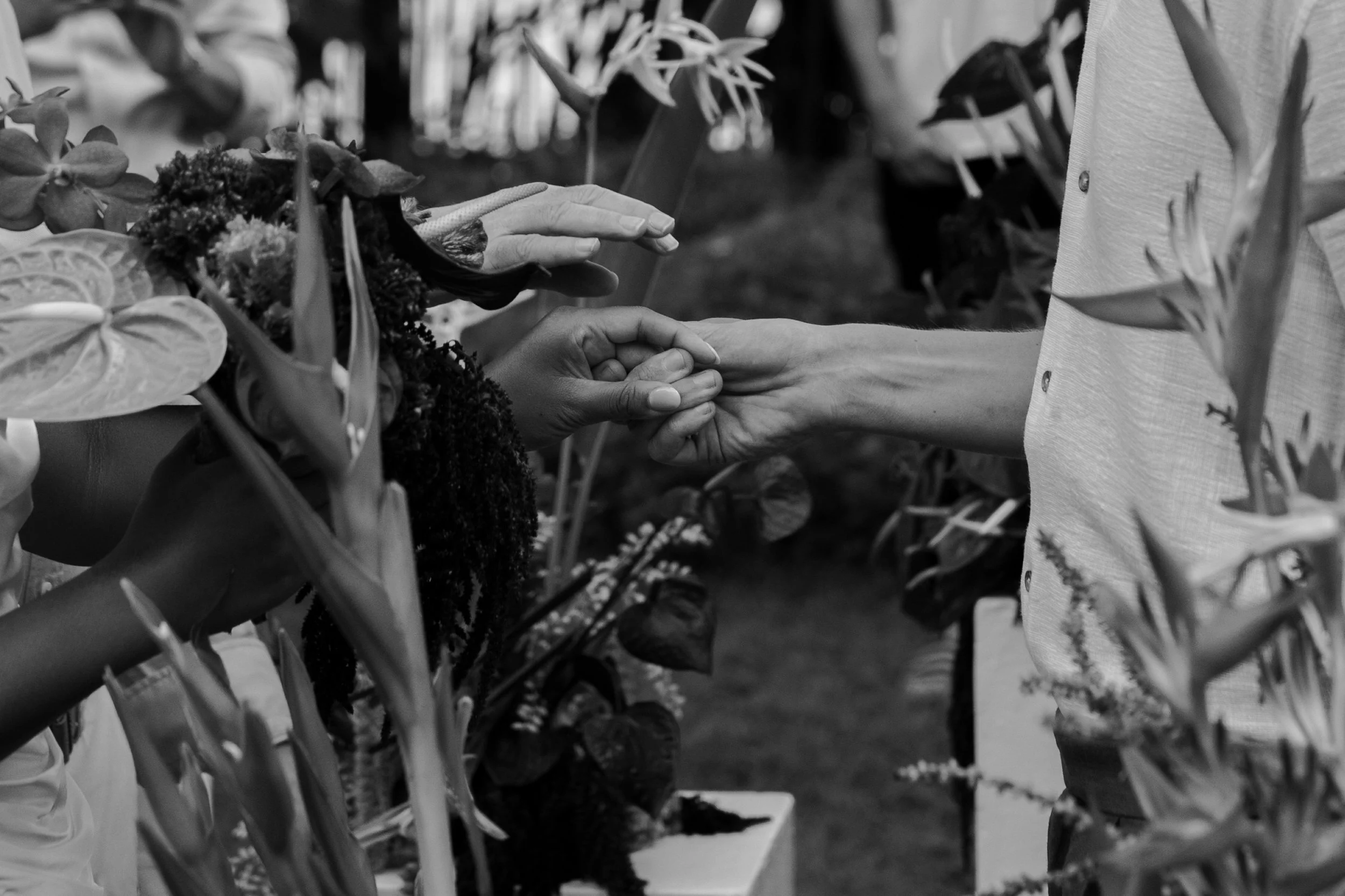 Two people holding hands among flowers and plants.