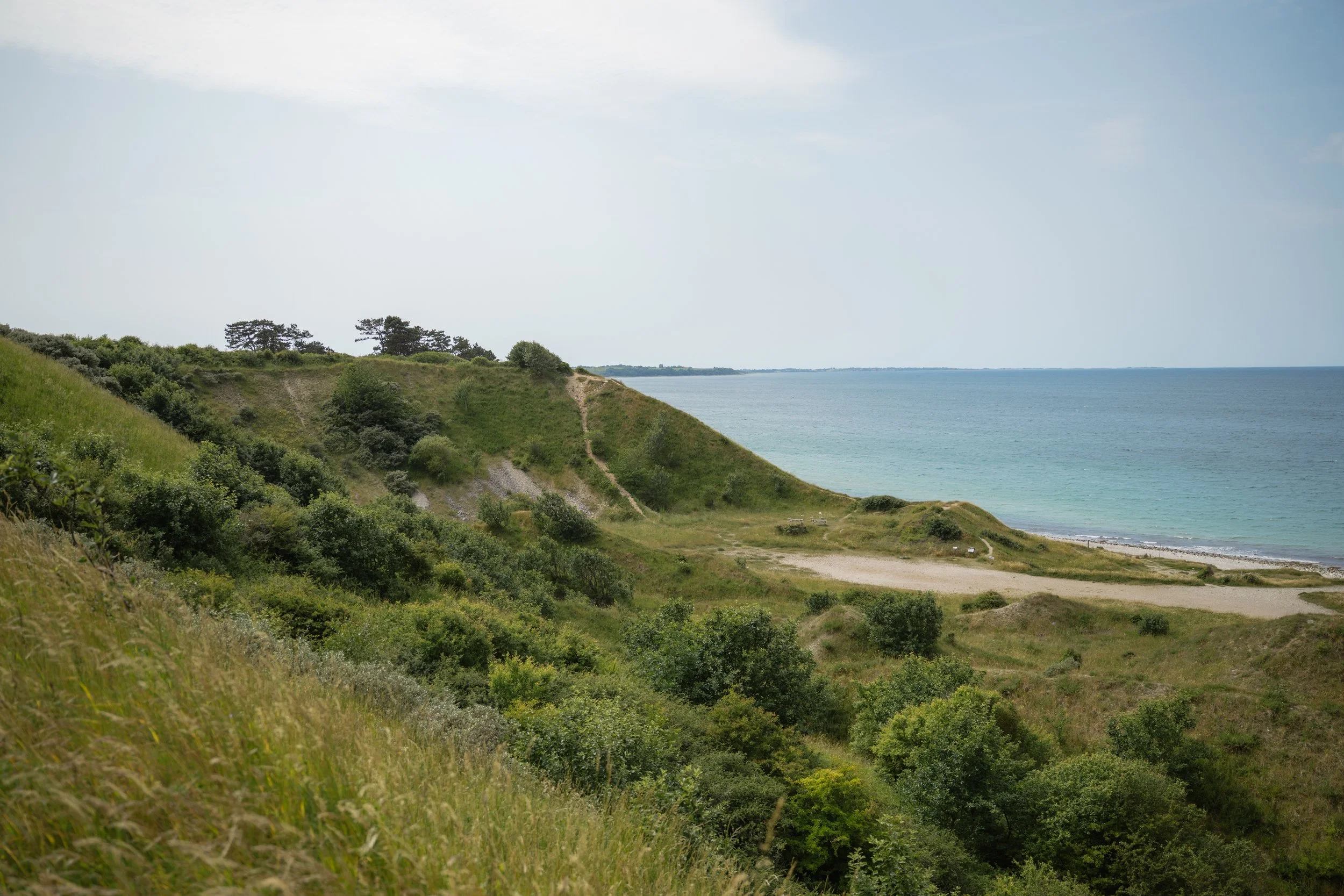 Coastal landscape with grassy cliffs, a sandy beach, and the ocean under a partly cloudy sky.