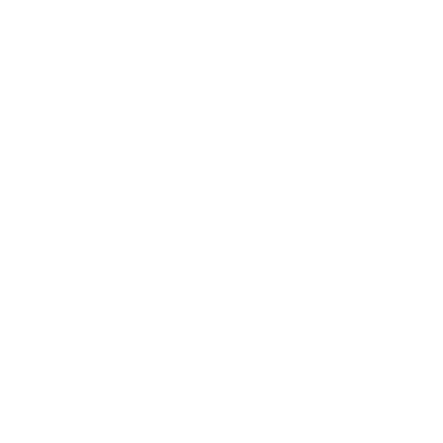 Casey Nichole Photography