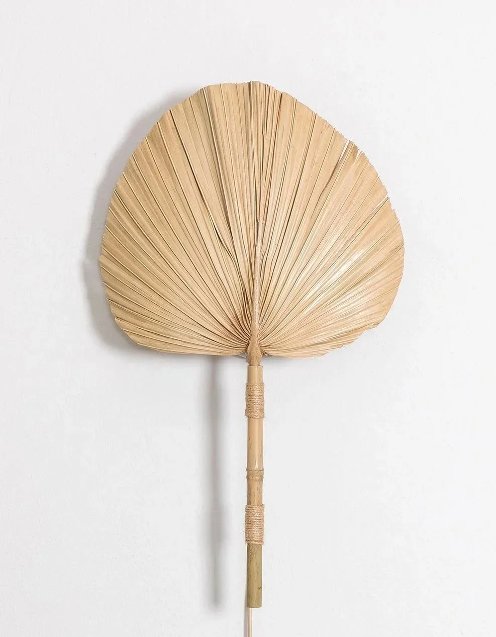 A dried palm leaf with a fan shape, mounted on a white wall.
