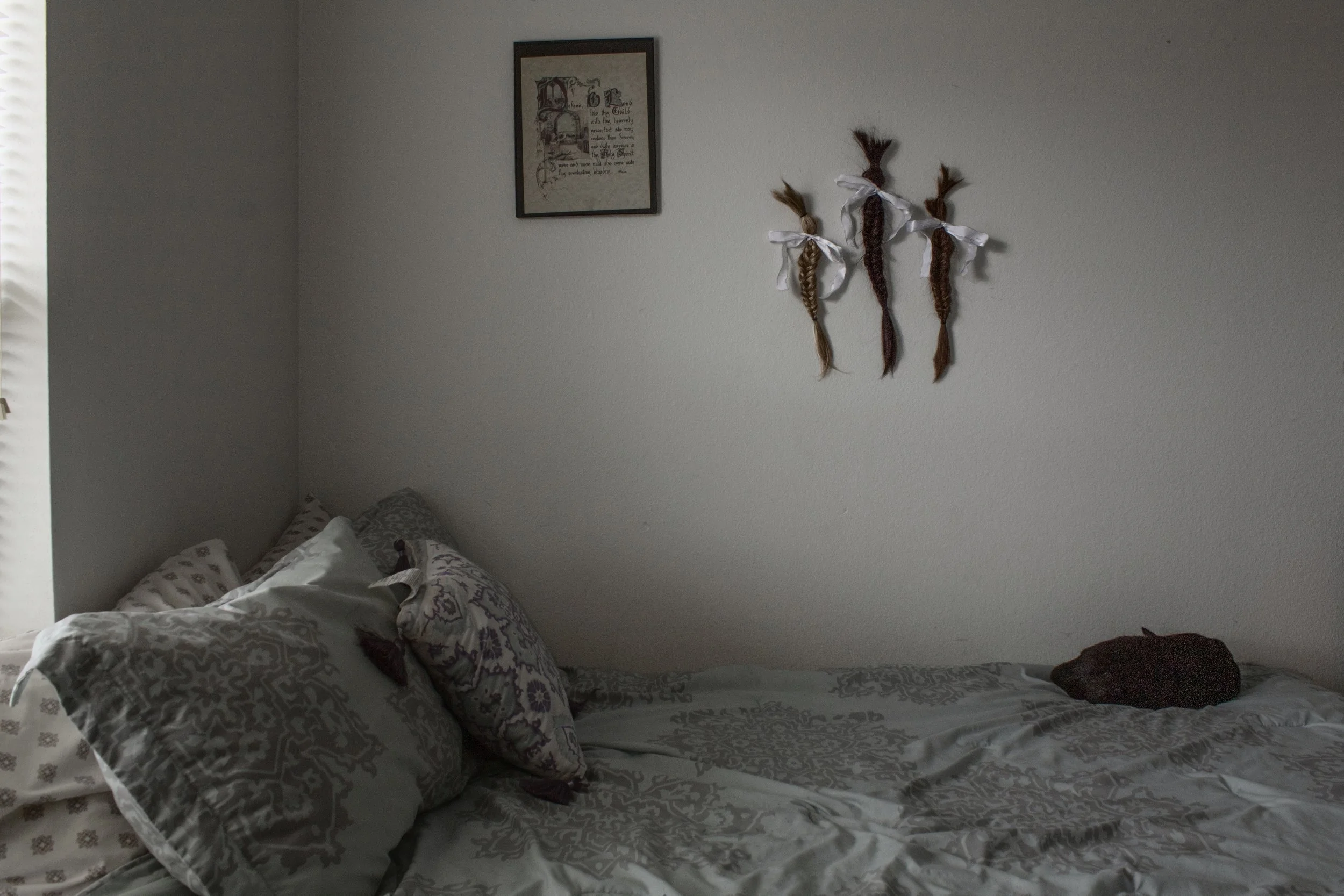 Her Pride and Joy.jpg