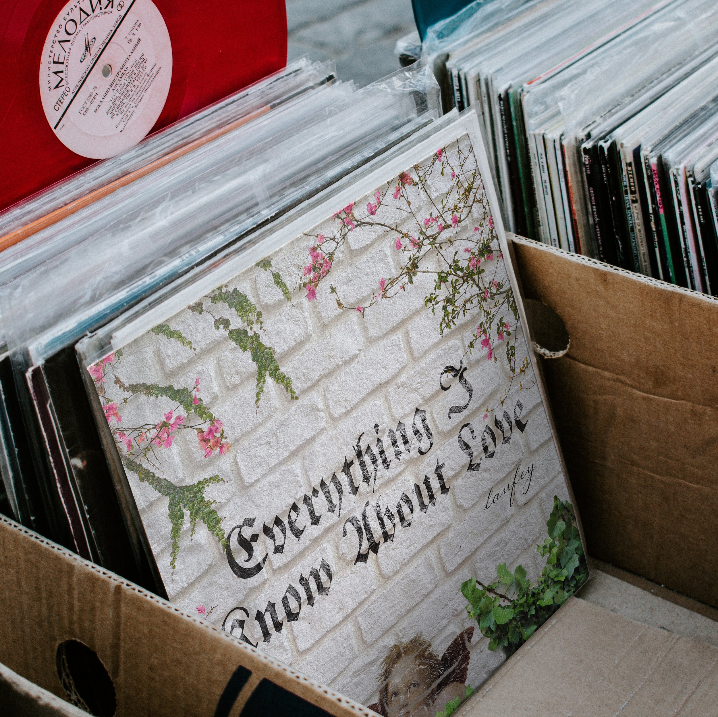 A vinyl record album titled "Everything I Never Said" by Lanie, with a white brick wall and pink flowering plants on the cover, displayed among other records in a cardboard box.