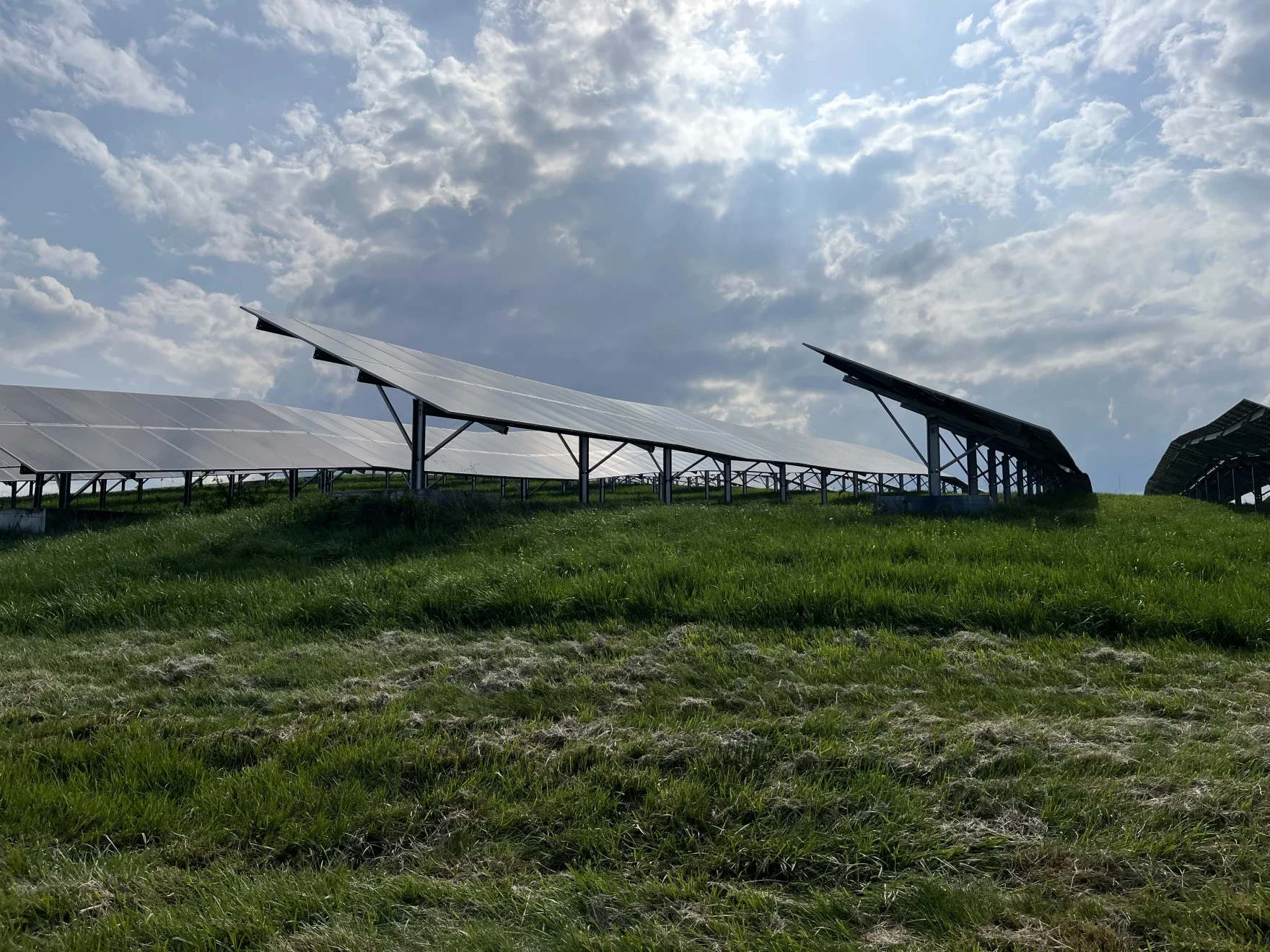 Solar panels installed on a grassy field with cloudy sky above.