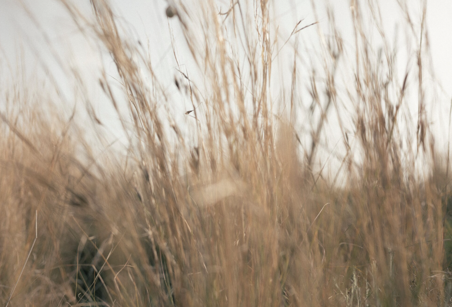 Screenshot 2026-03-15 at 6.54.33 PM.png